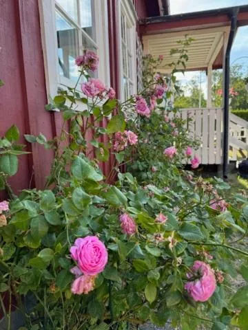 Solstickan Hotell & Vandrarhem