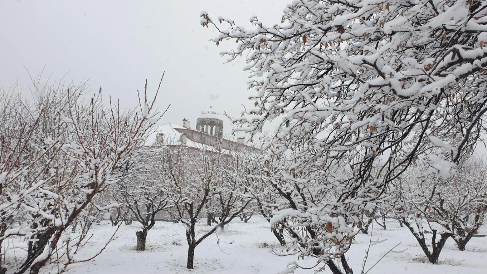 Winter in Areni Lodge