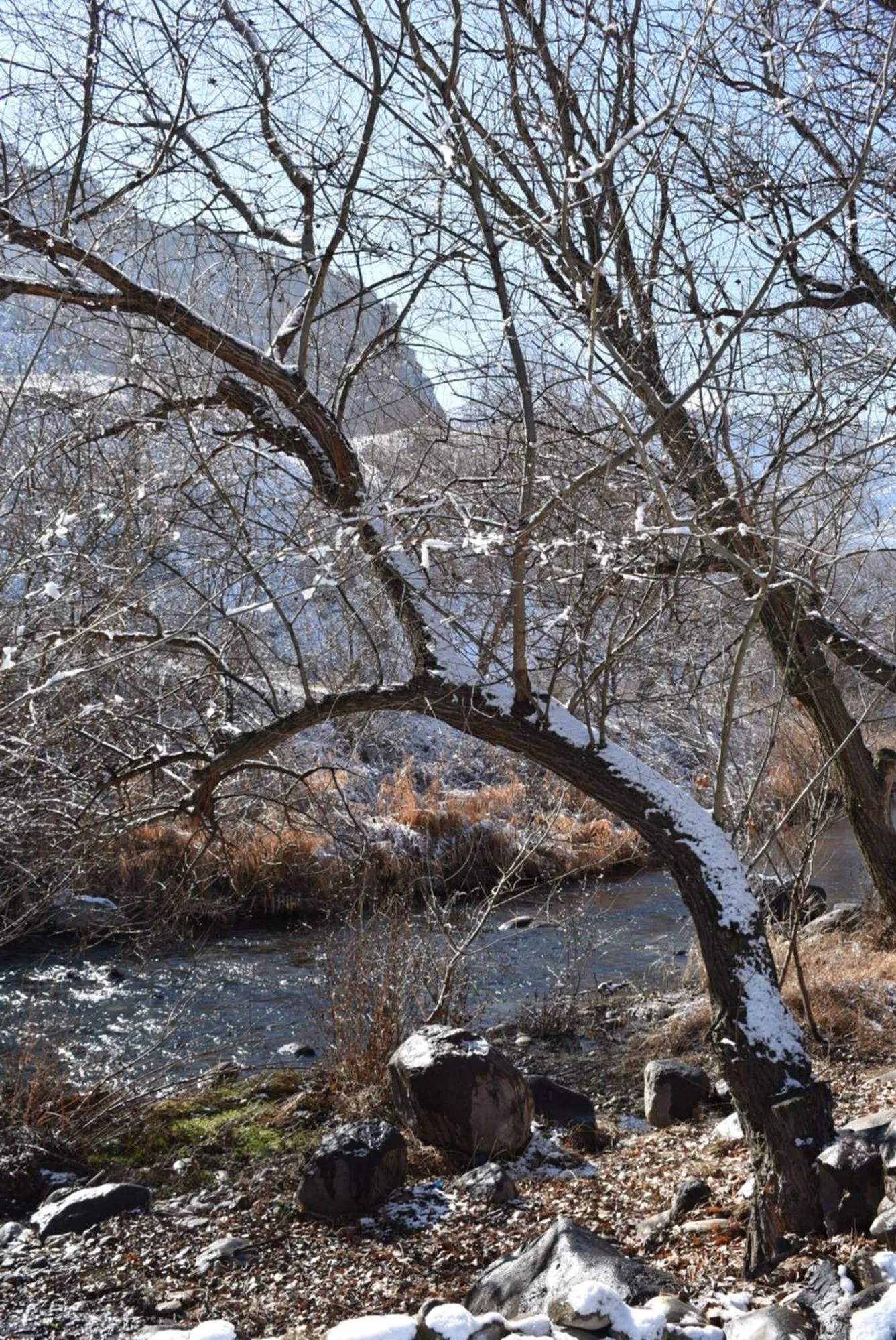 Winter in Areni Lodge