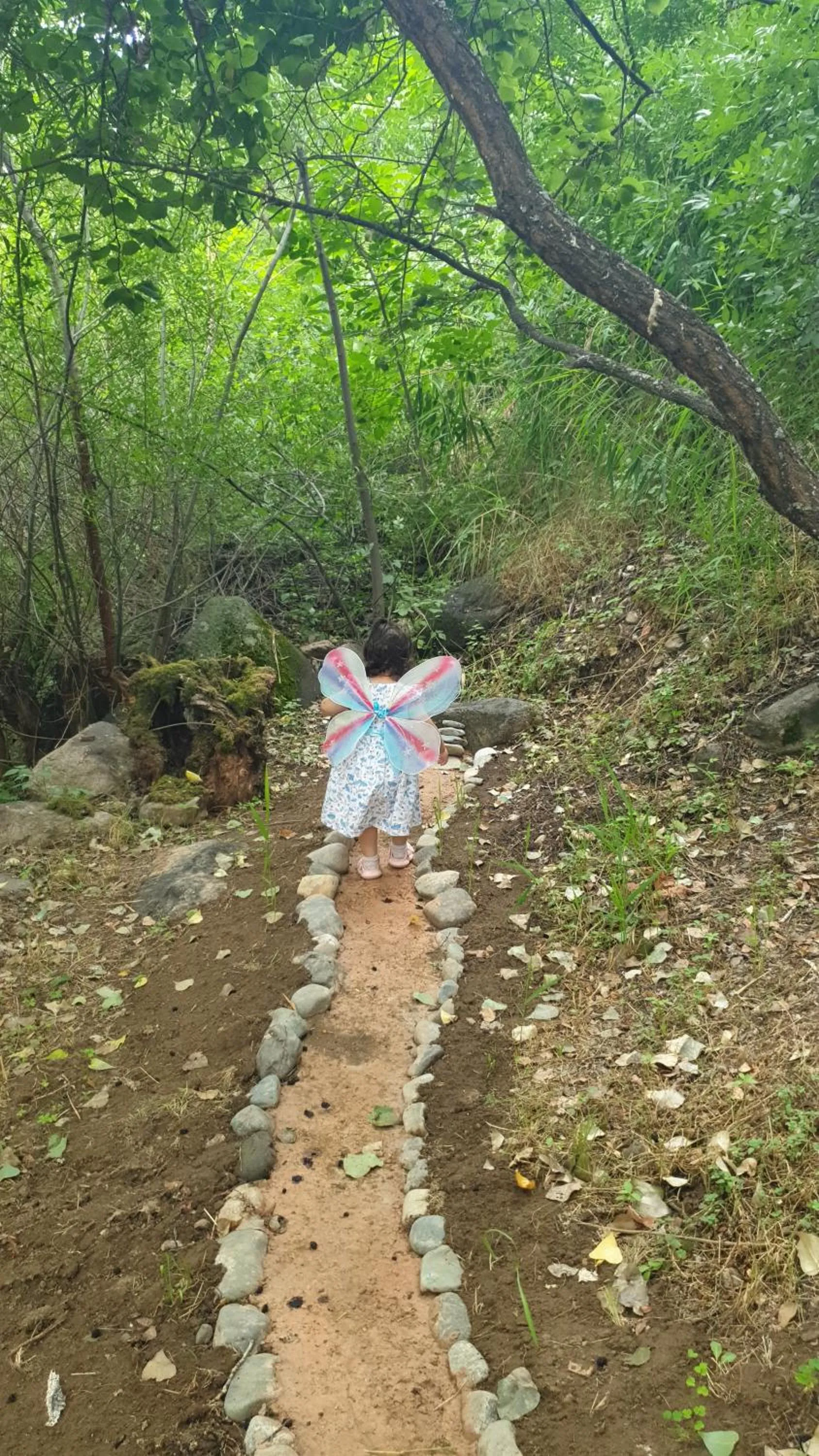 Children play ground in Areni Lodge