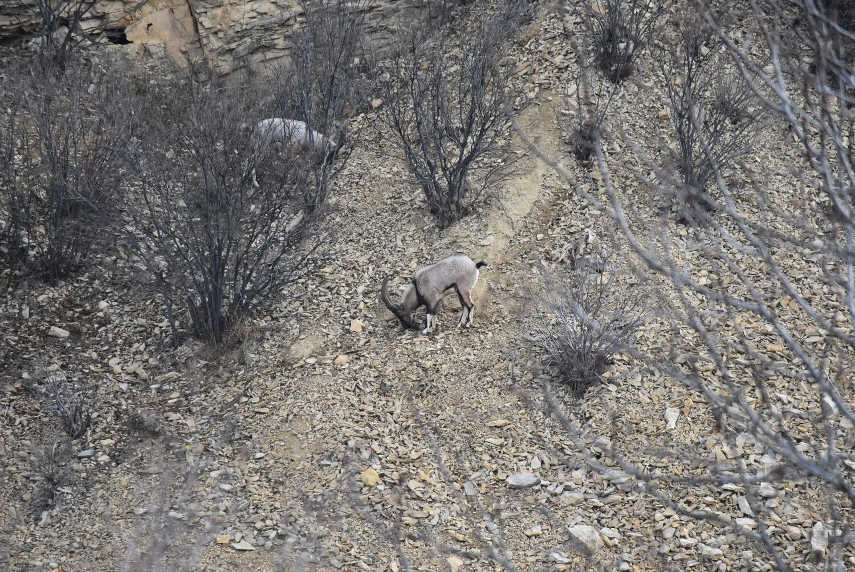 Natural landscape in Areni Lodge