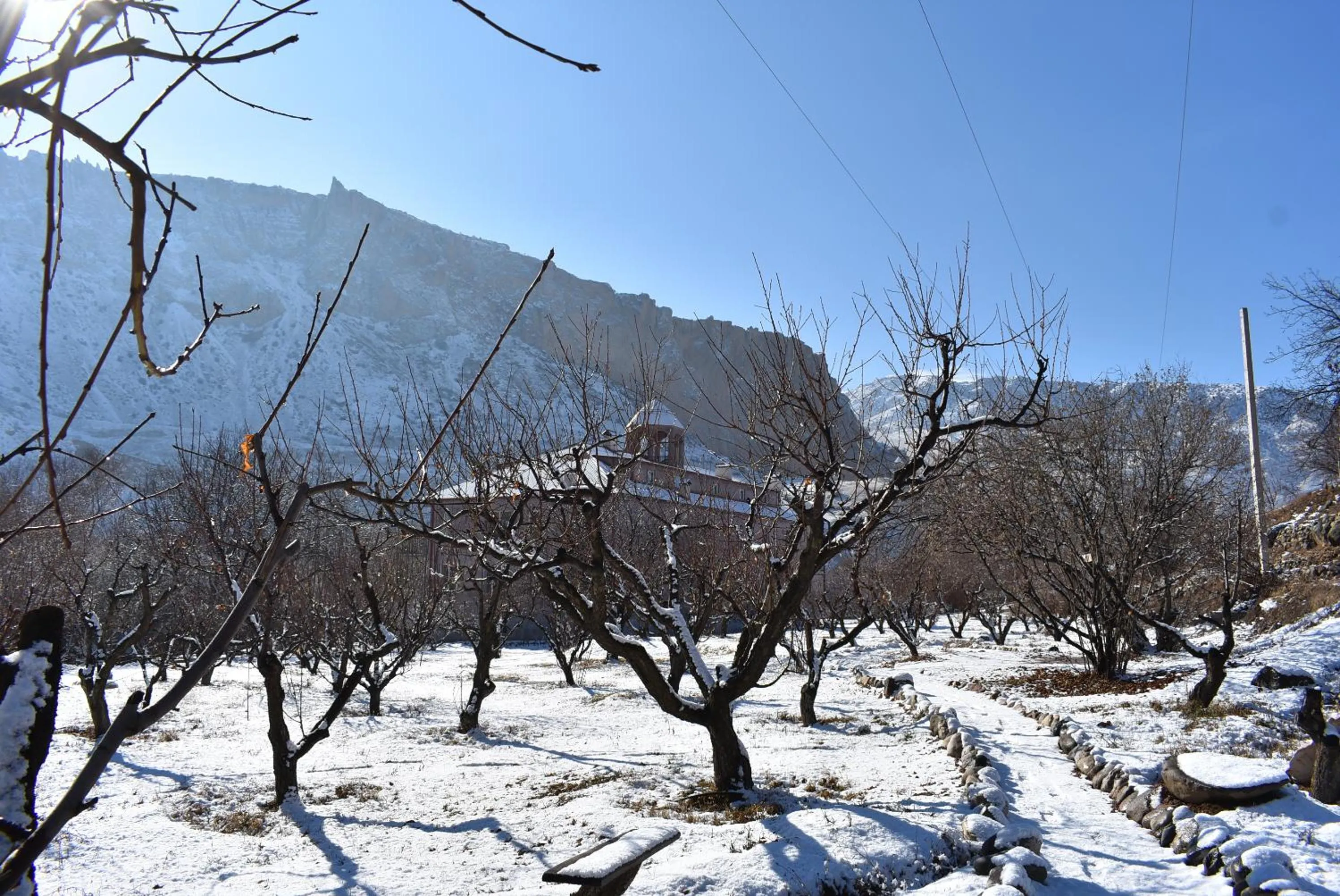 Garden view in Areni Lodge