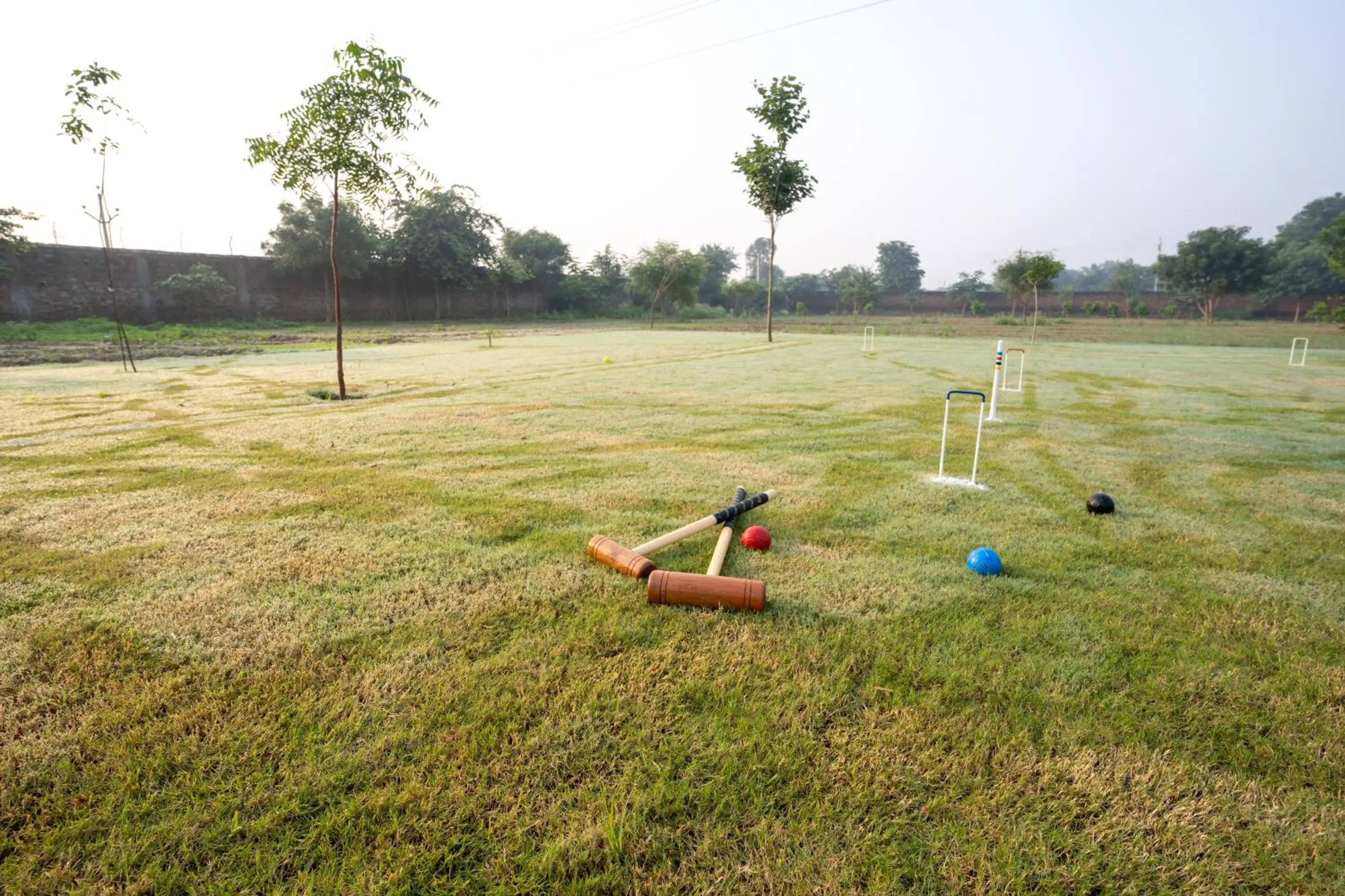 Activities in Tree of Life Ecotainers Agra