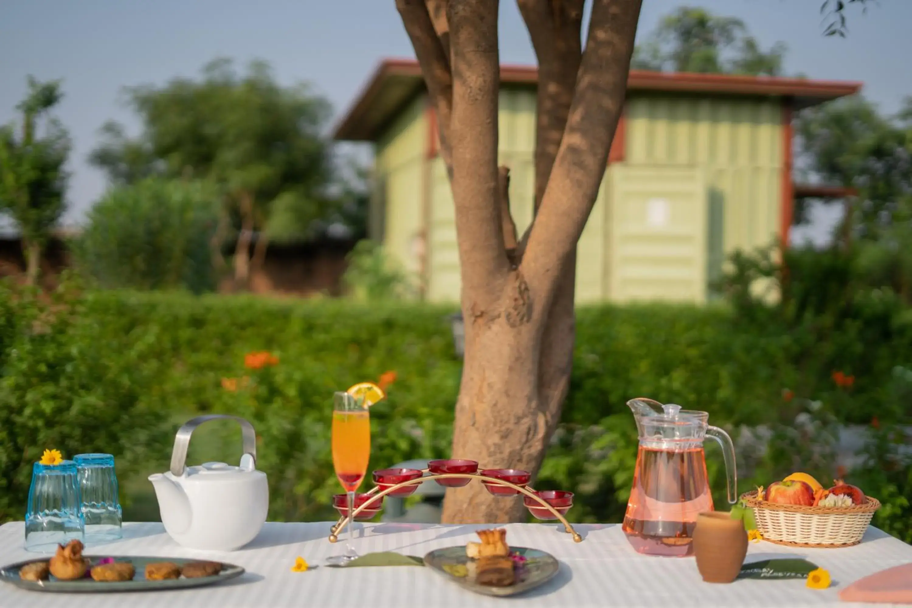 Restaurant/places to eat in Tree of Life Ecotainers Agra Restaurant/places to eat in Tree of Life Ecotainers Agra