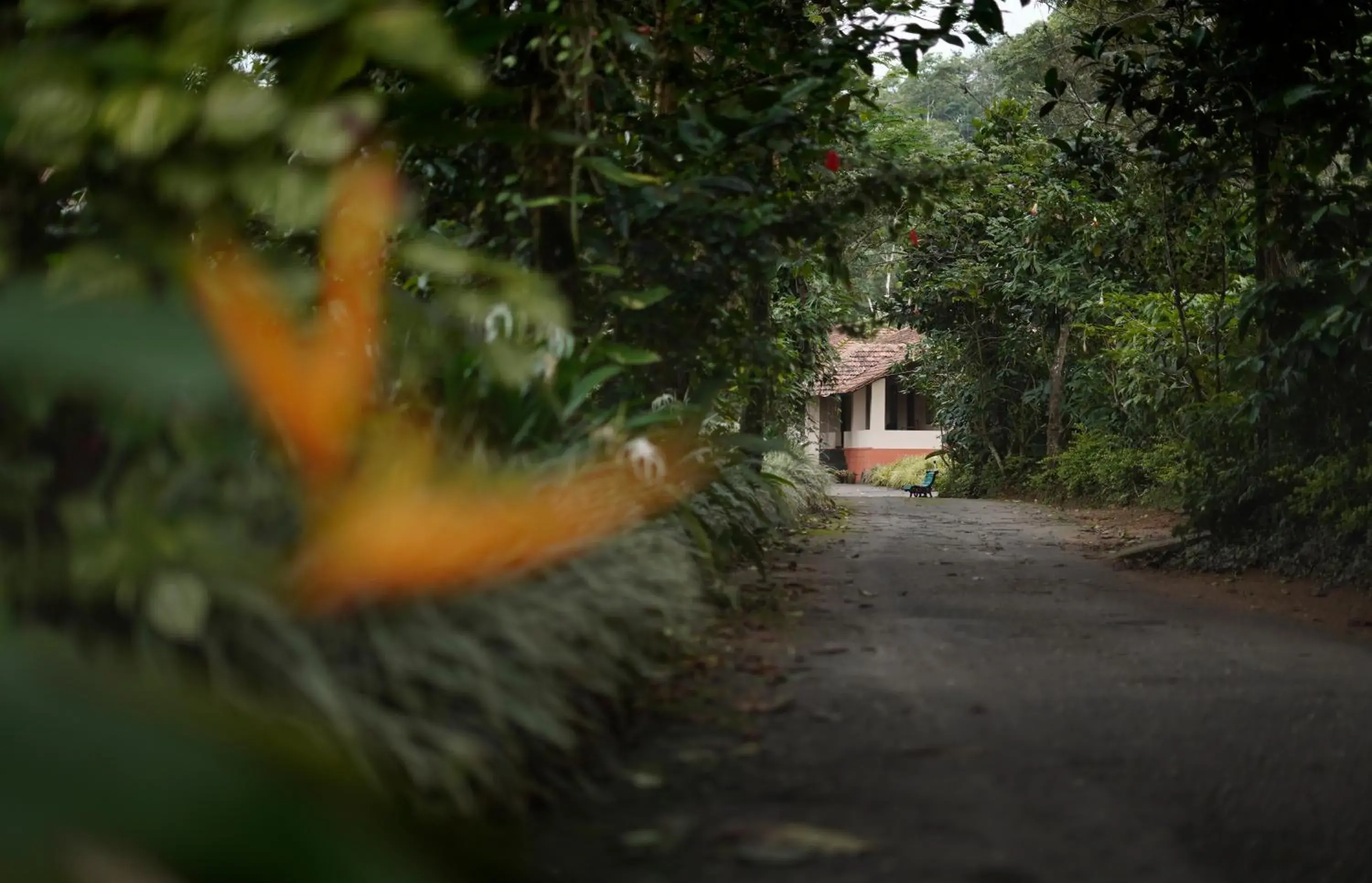 Garden view in Magnolia Estates & Resorts Garden view in Magnolia Estates & Resorts
