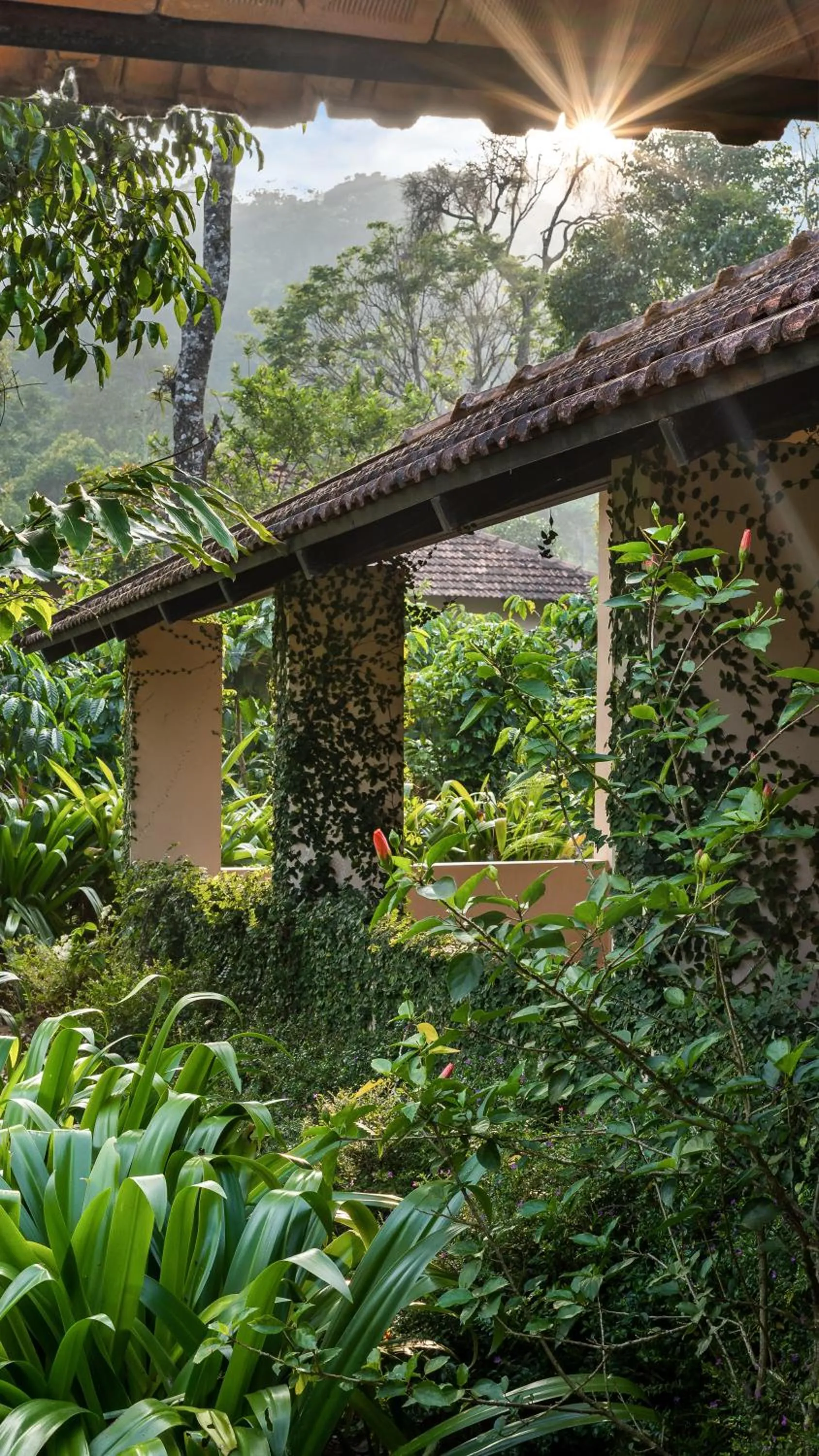 Garden in Magnolia Estates & Resorts