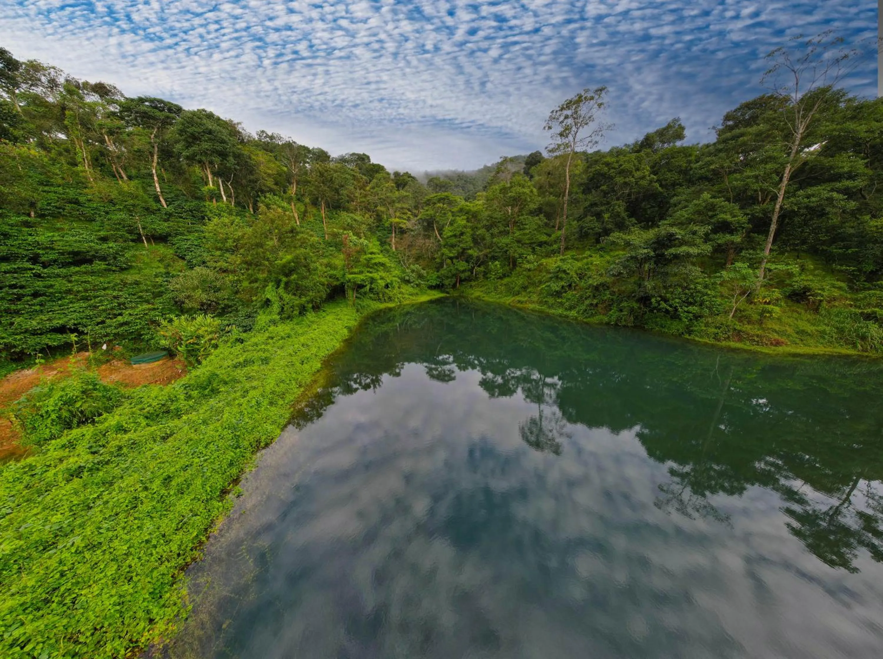 Lake view in Magnolia Estates & Resorts