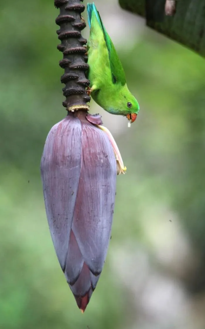 Activities in Magnolia Estates & Resorts