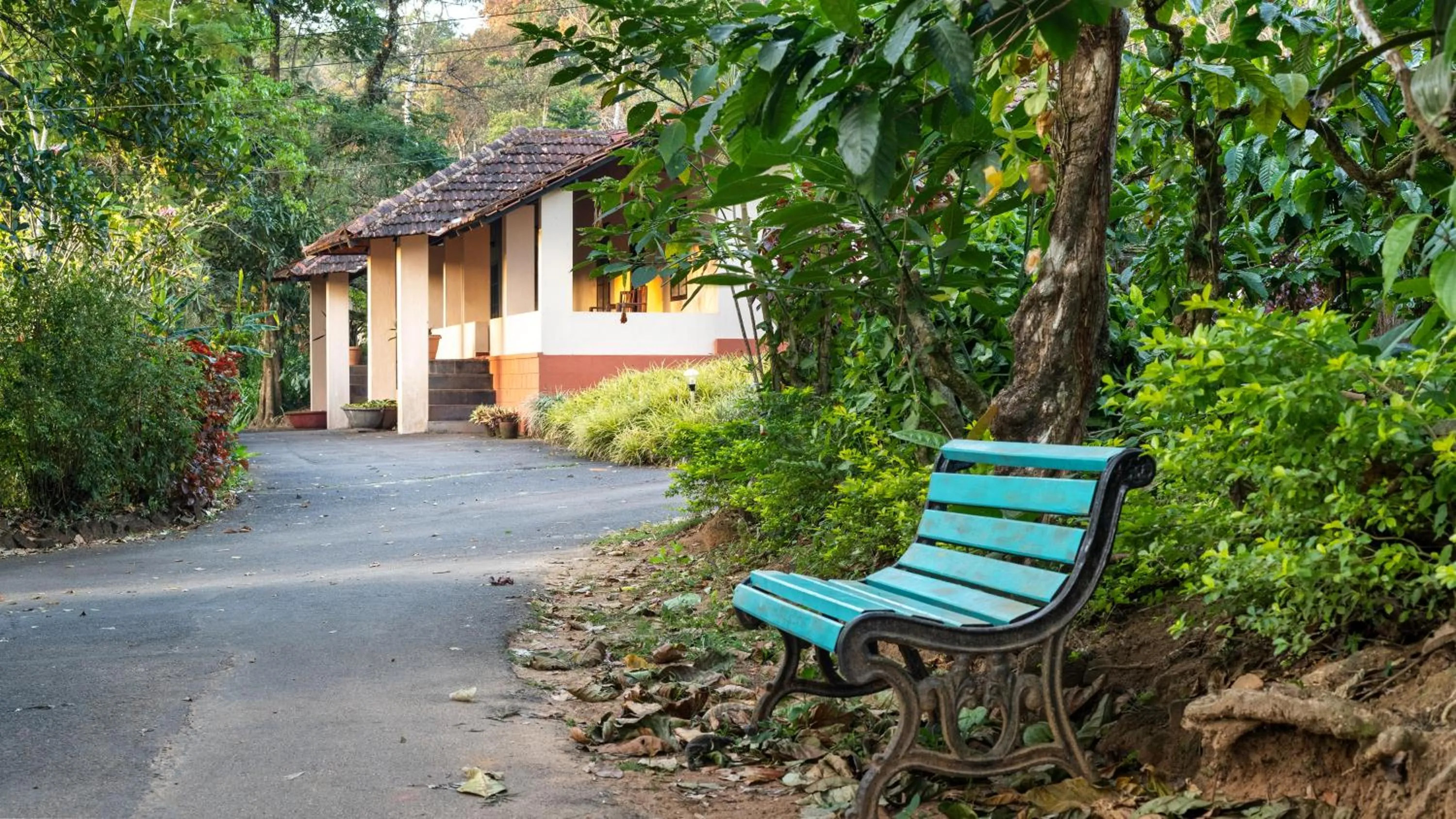 Natural landscape in Magnolia Estates & Resorts