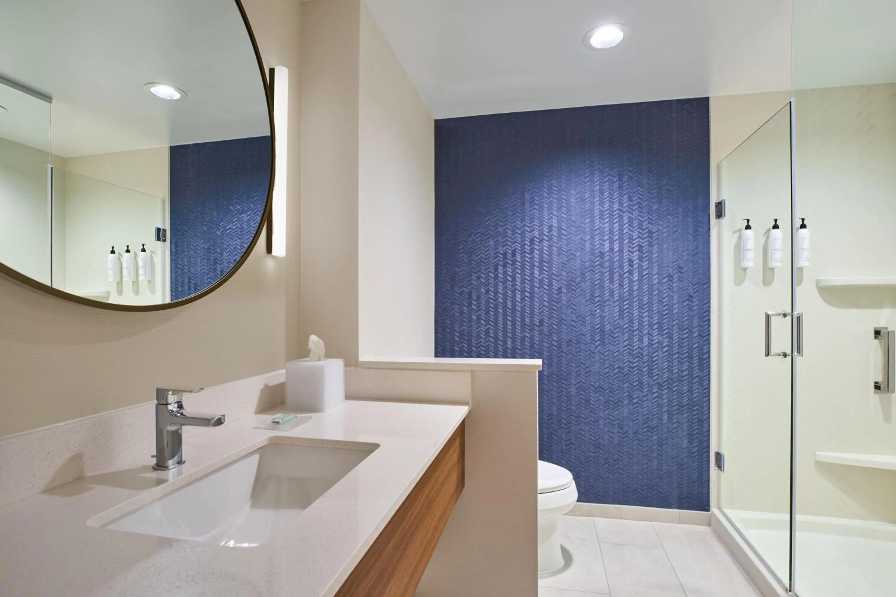 Bathroom in Fairfield by Marriott Inn & Suites Hagerstown
