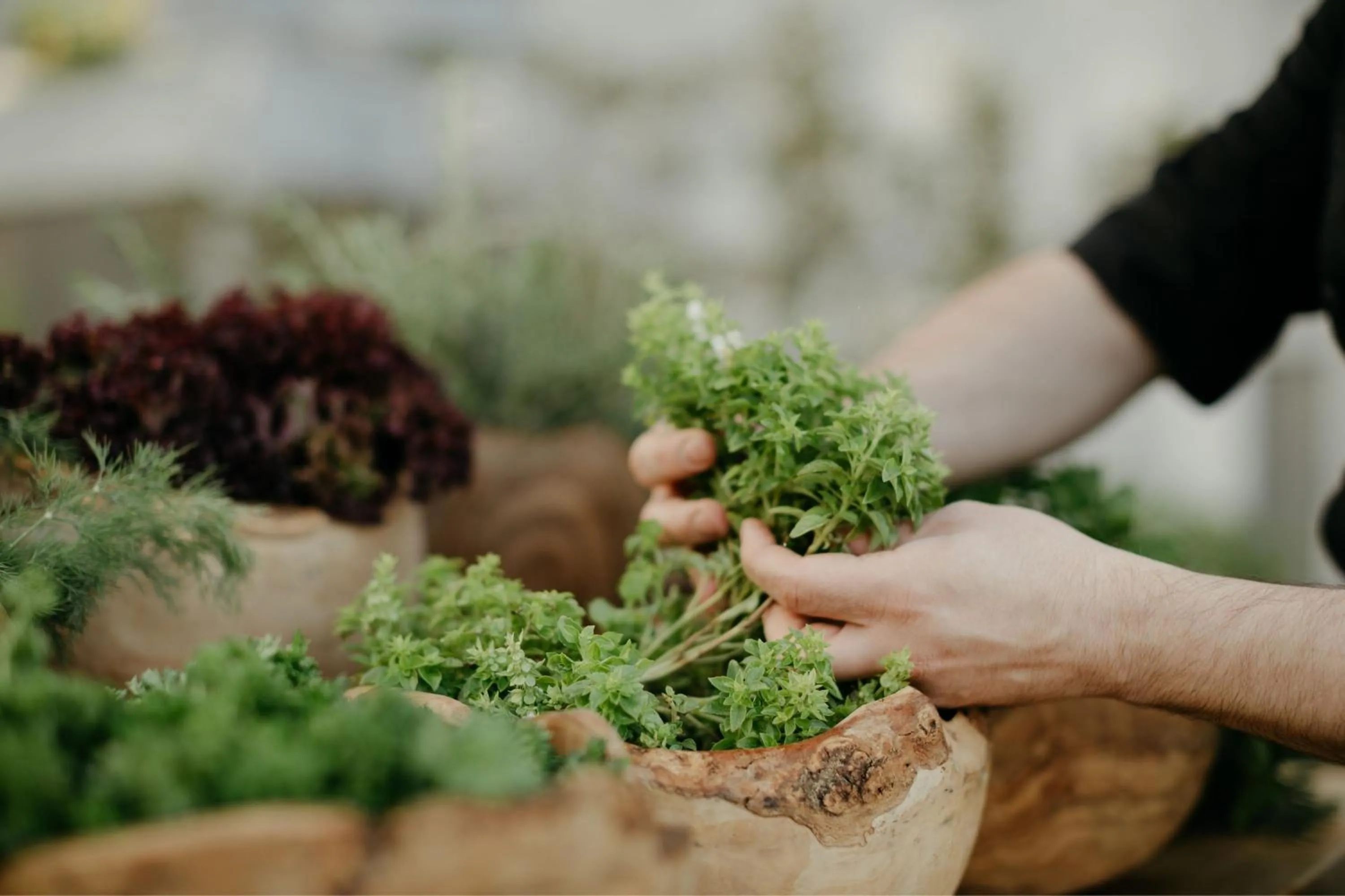 Other in JW Marriott Hotel Istanbul Marmara Sea