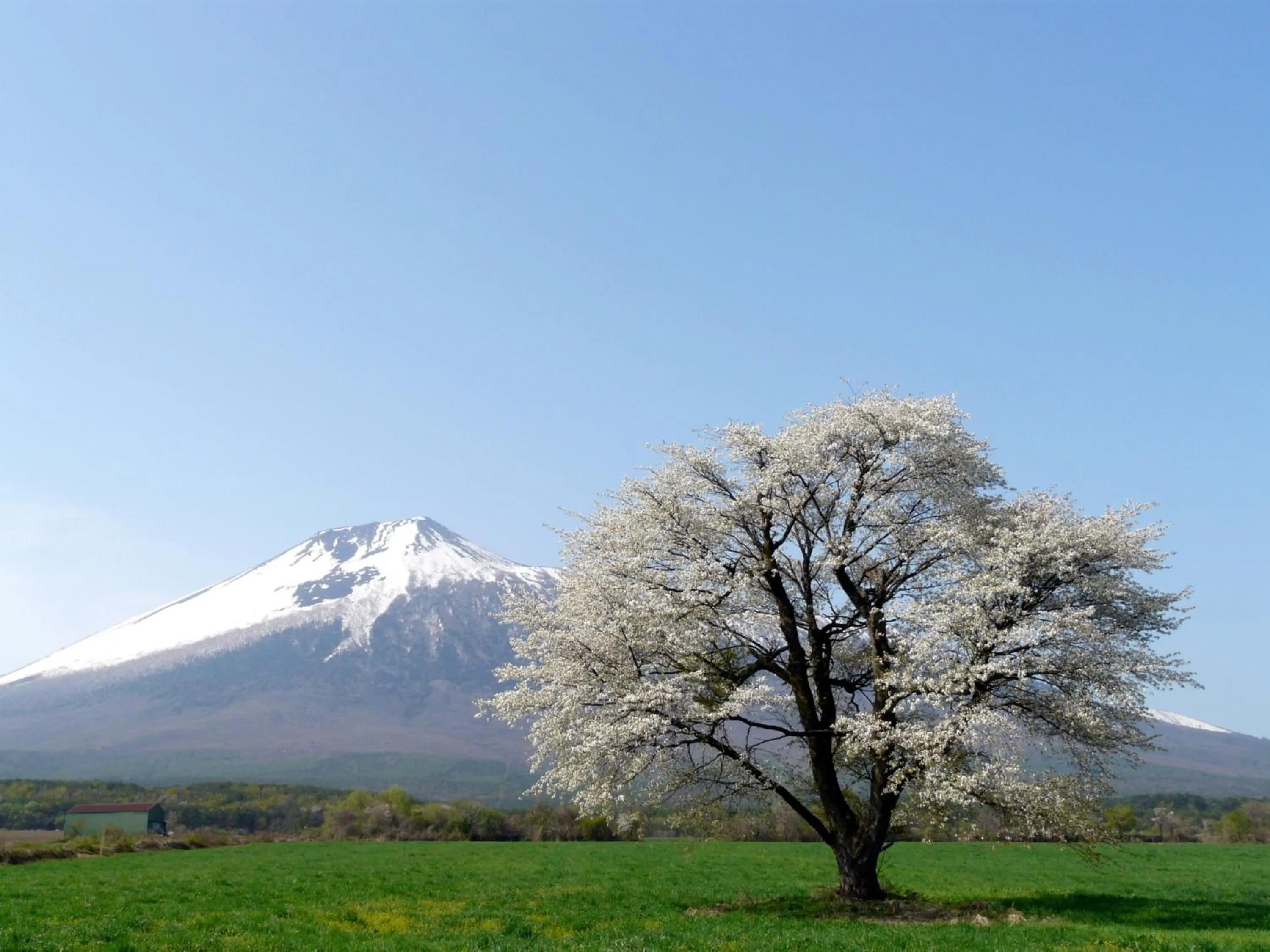 Area and facilities in ANA InterContinental Appi Kogen Resort by IHG