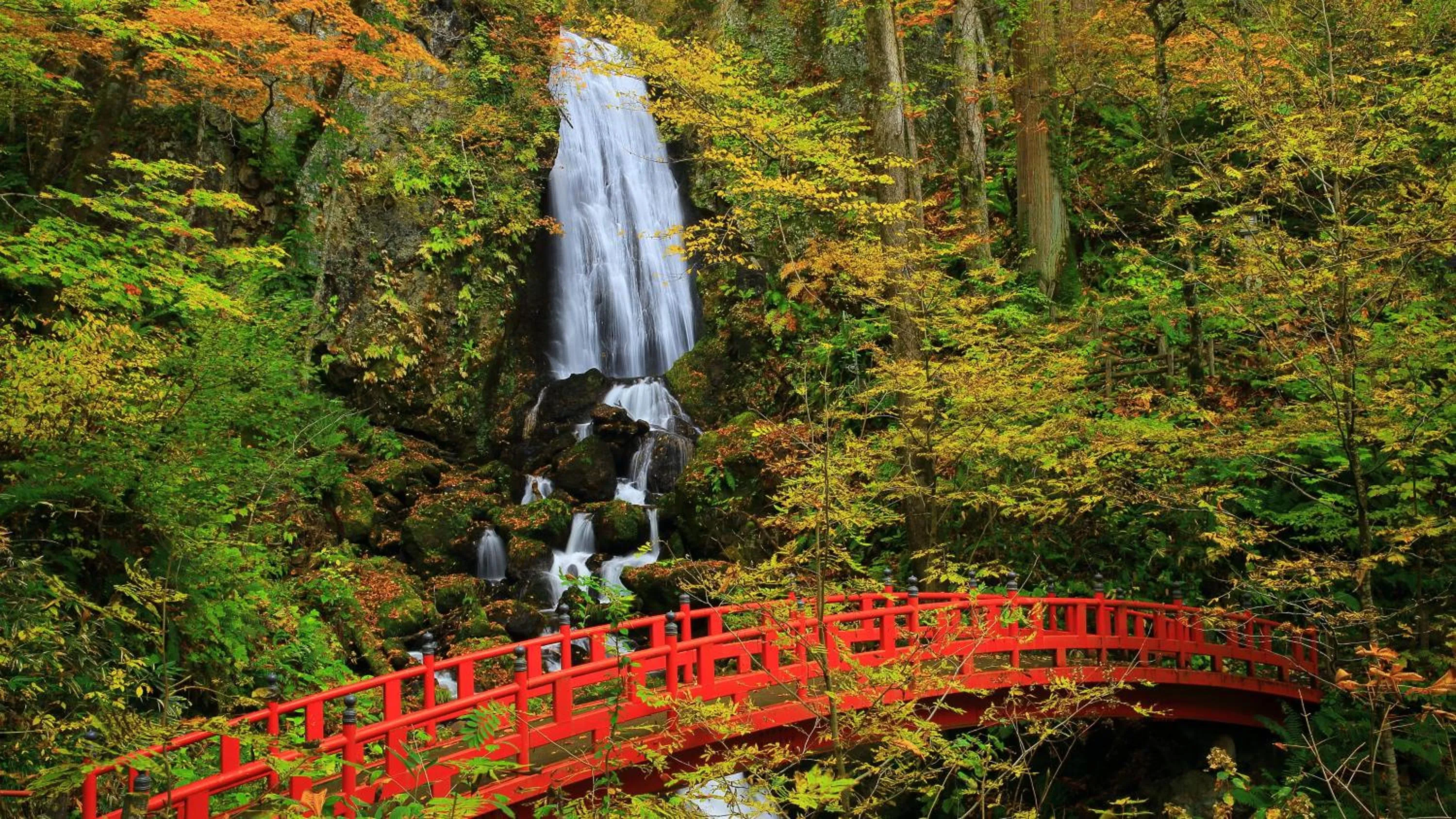 Area and facilities in ANA InterContinental Appi Kogen Resort by IHG