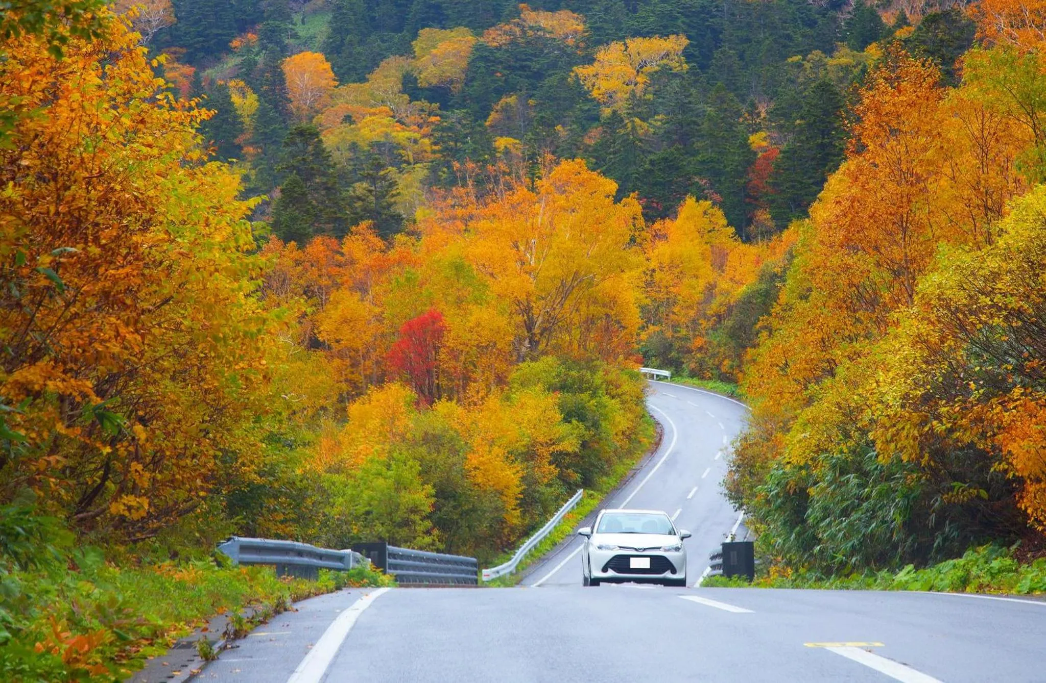 Area and facilities in ANA InterContinental Appi Kogen Resort by IHG