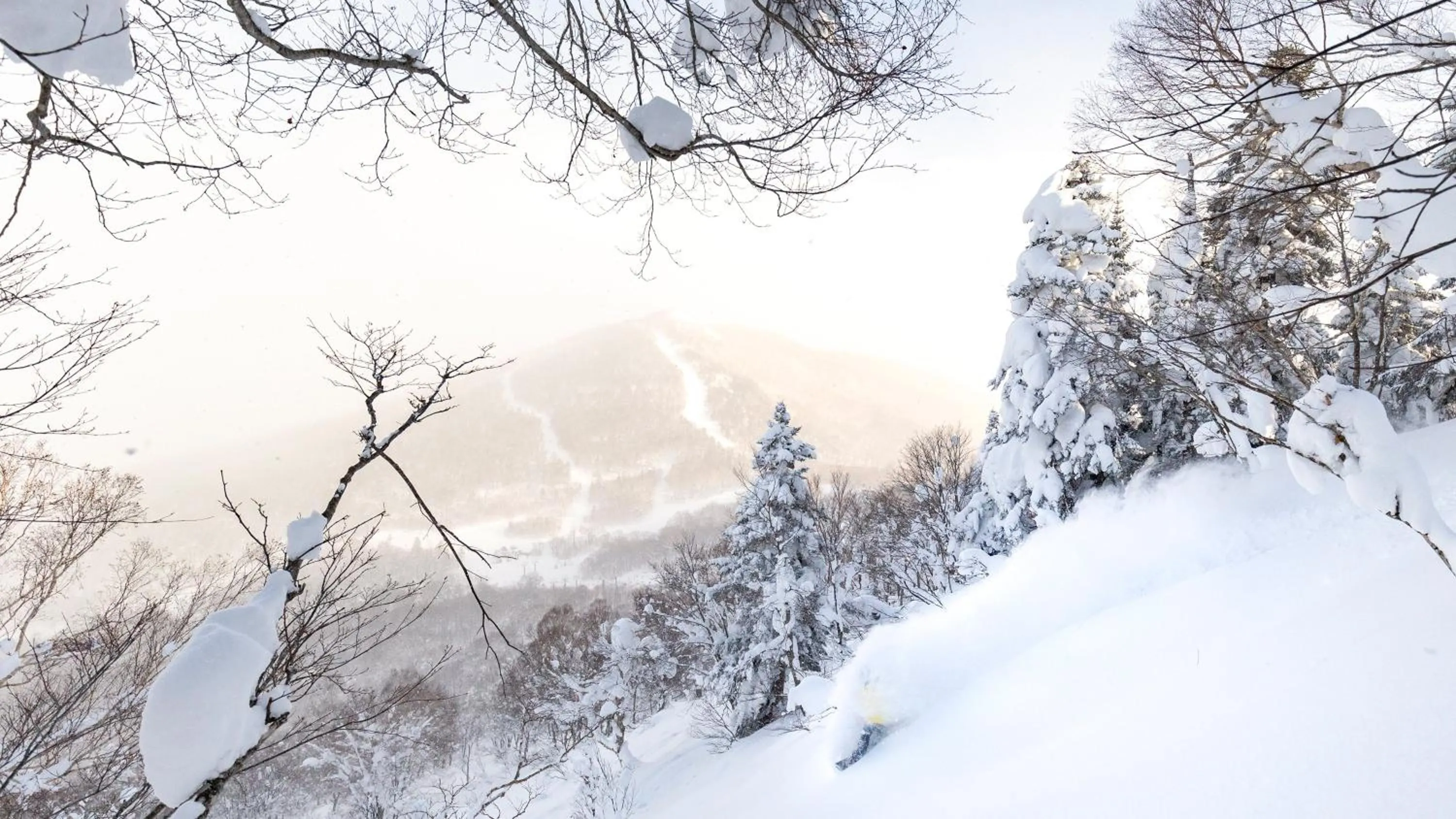 Area and facilities in ANA InterContinental Appi Kogen Resort by IHG