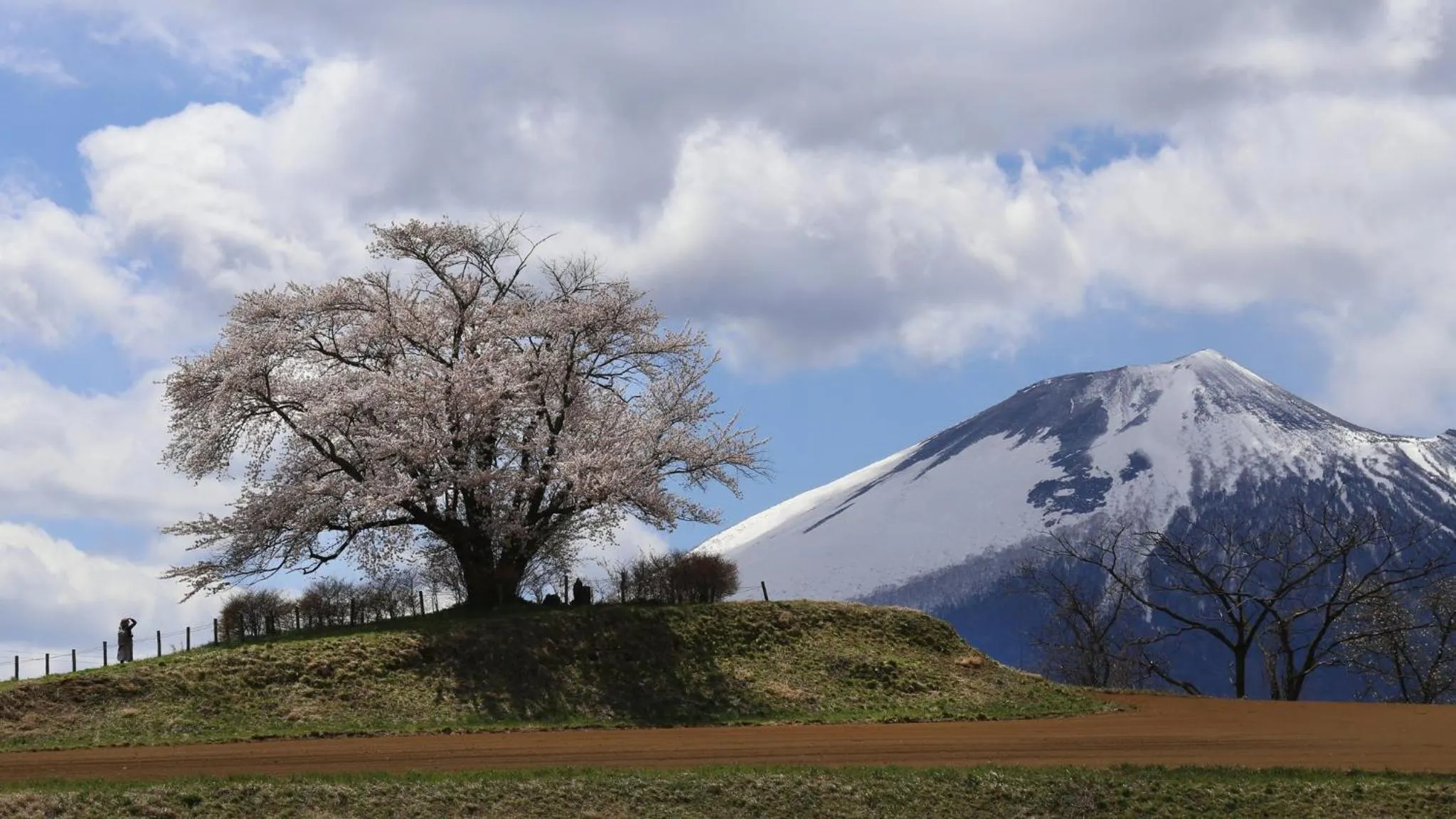 Area and facilities in ANA InterContinental Appi Kogen Resort by IHG