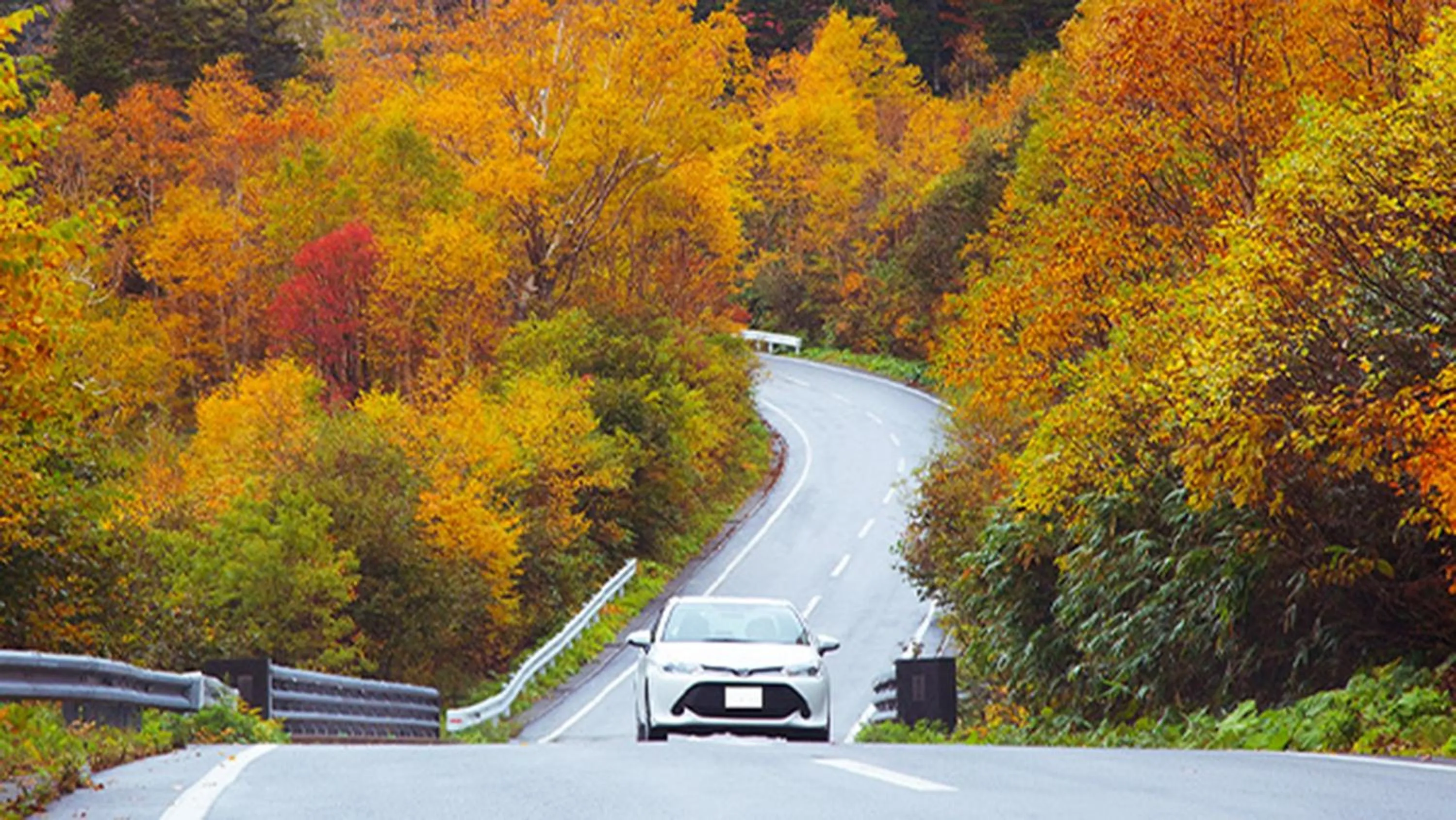 Area and facilities in ANA InterContinental Appi Kogen Resort by IHG