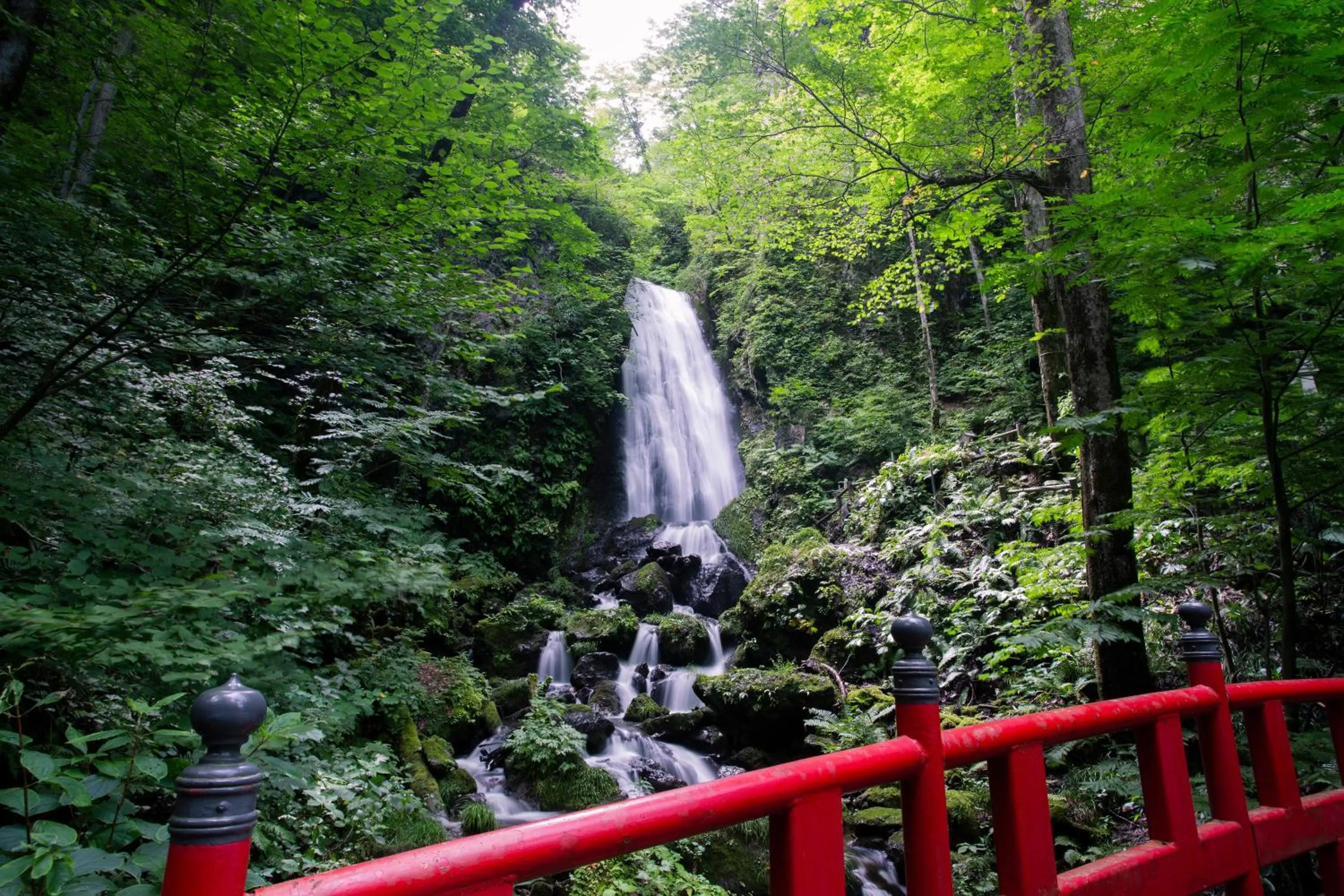 Area and facilities in ANA InterContinental Appi Kogen Resort by IHG