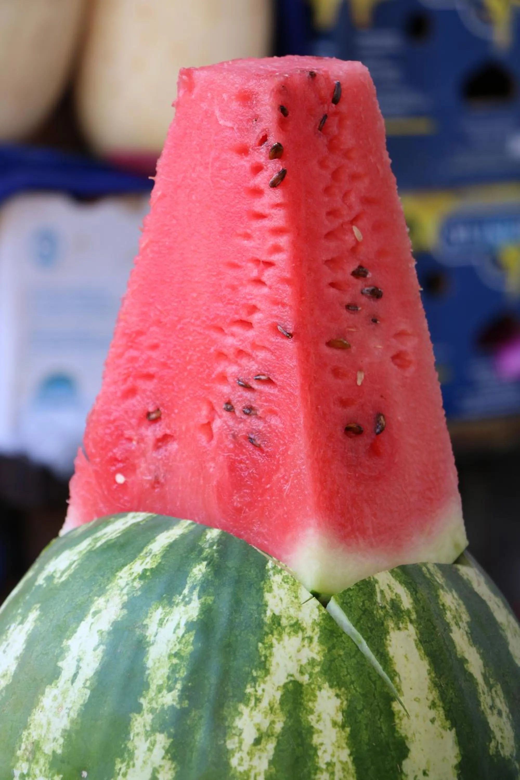 Neighbourhood in Viva Hotel