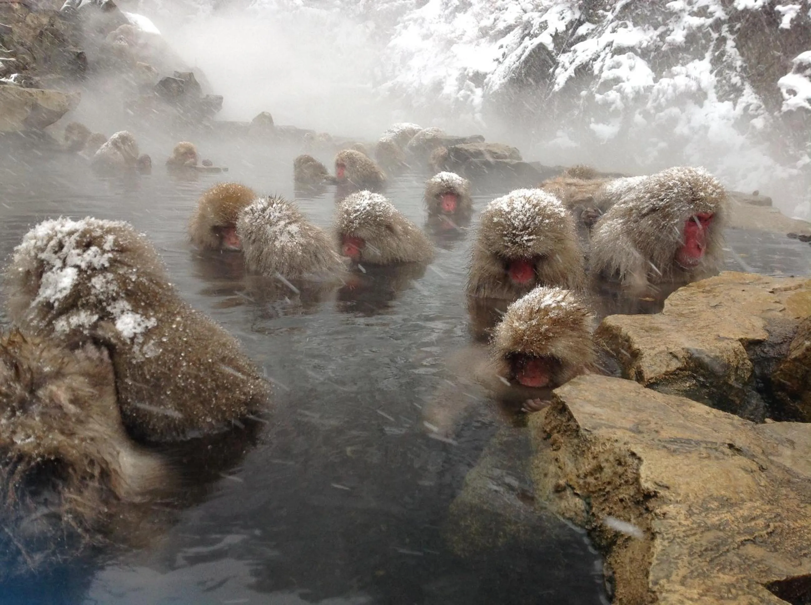 Off site in Guest house Maroudo