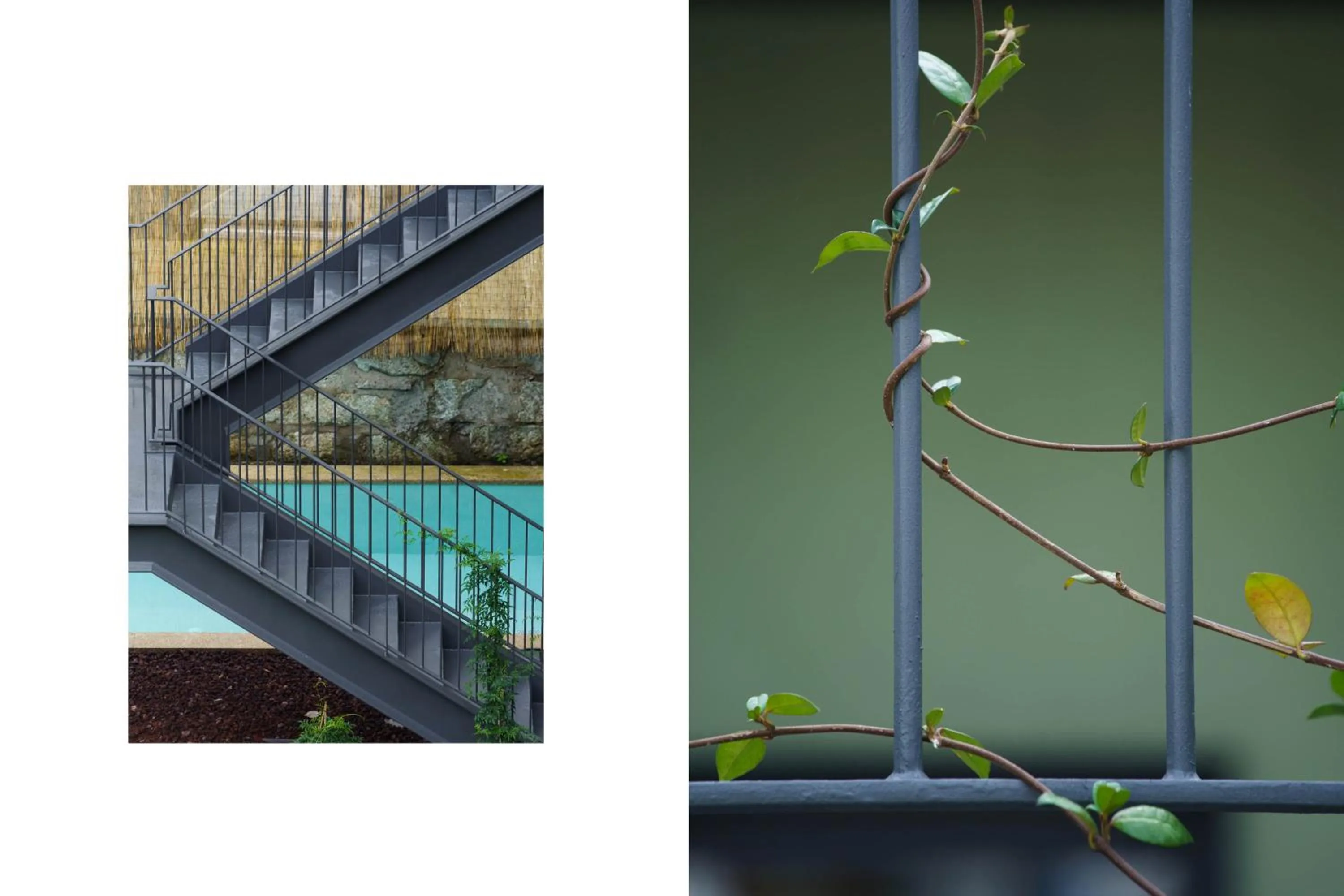 Decorative detail in Torel Saboaria