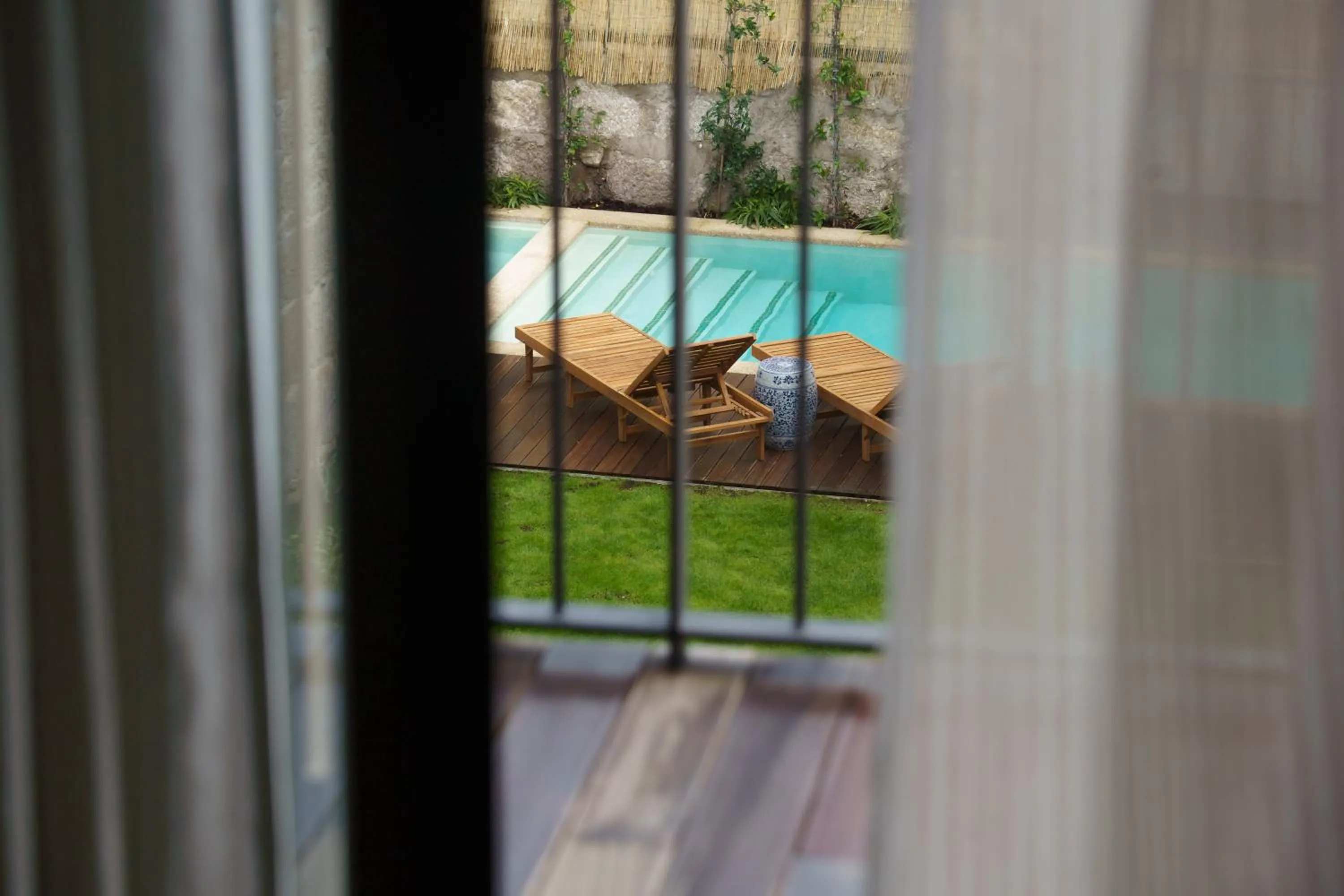 Garden in Torel Saboaria