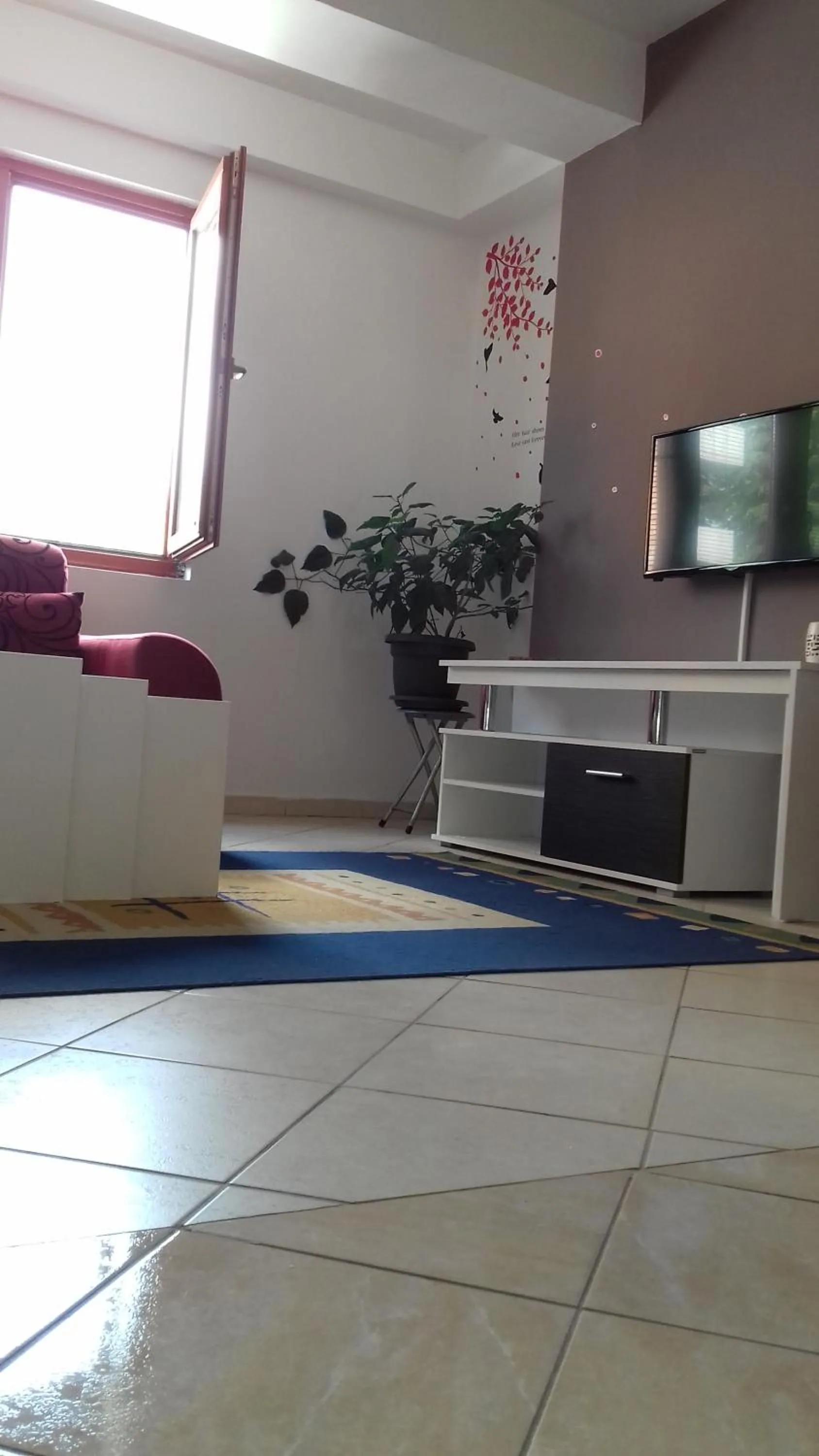 Nikolic Apartments - Ohrid City Centre