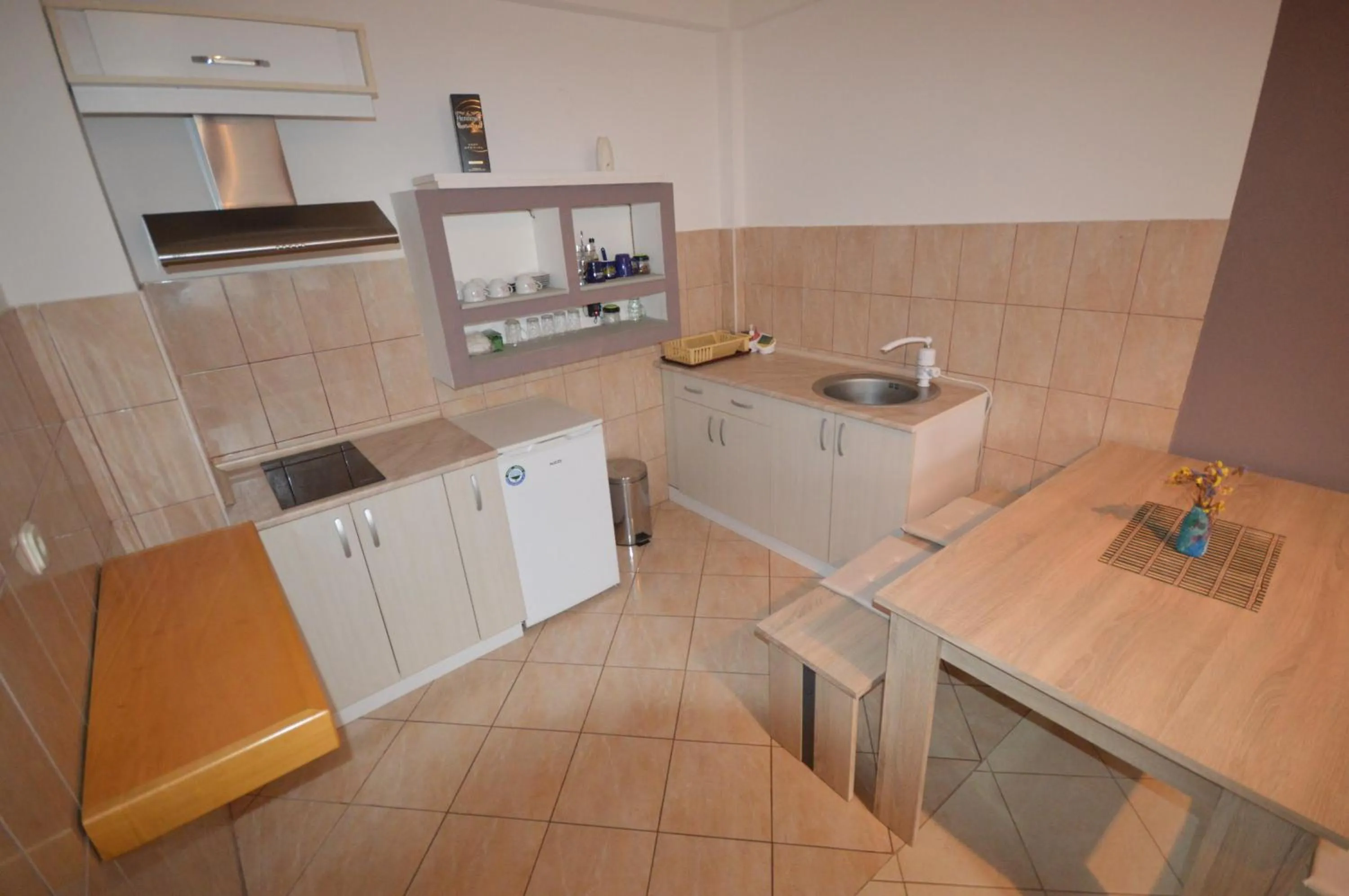 Kitchen or kitchenette in Nikolic Apartments - Ohrid City Centre