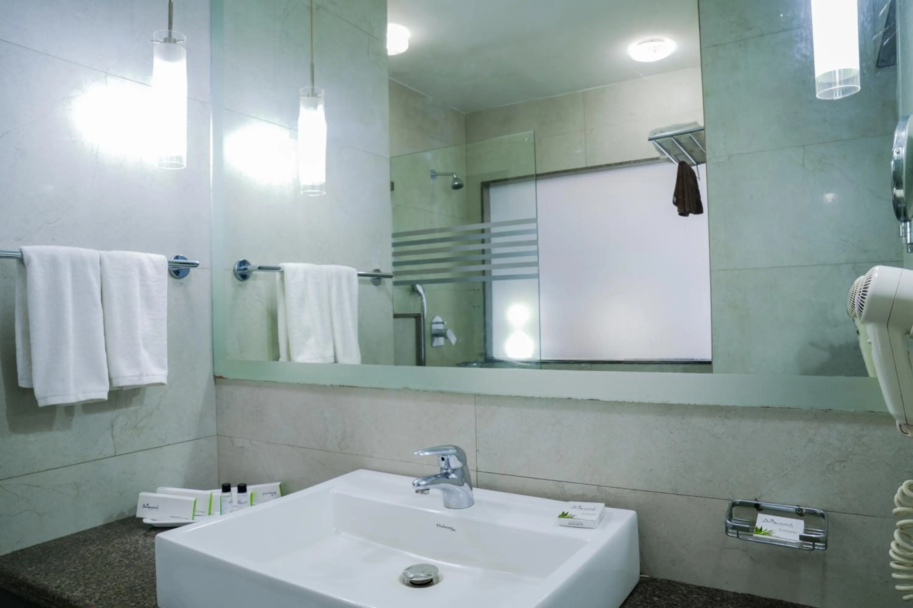 Bathroom in Regenta Baywatch Resort, Goa