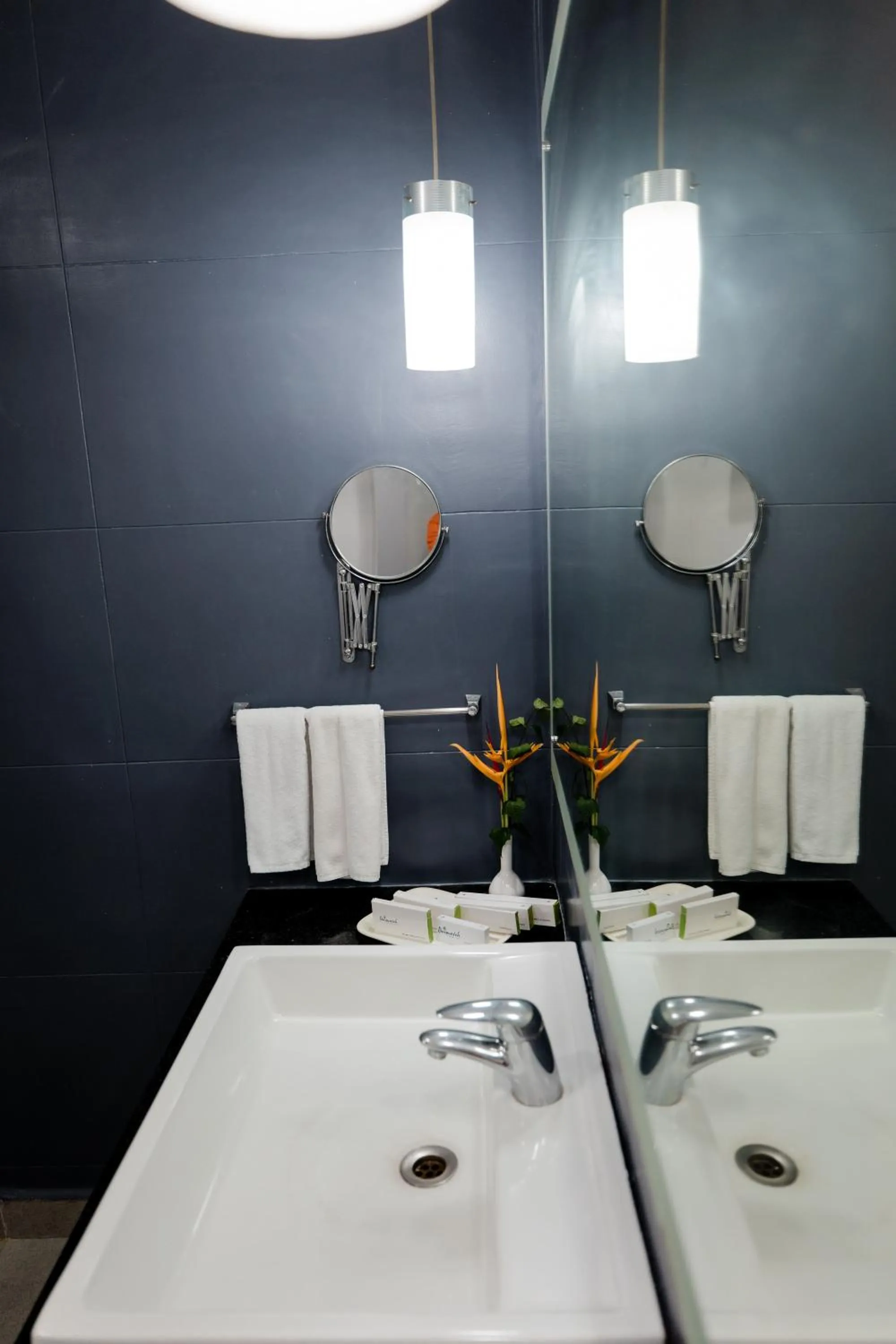 Bathroom in Regenta Baywatch Resort, Goa