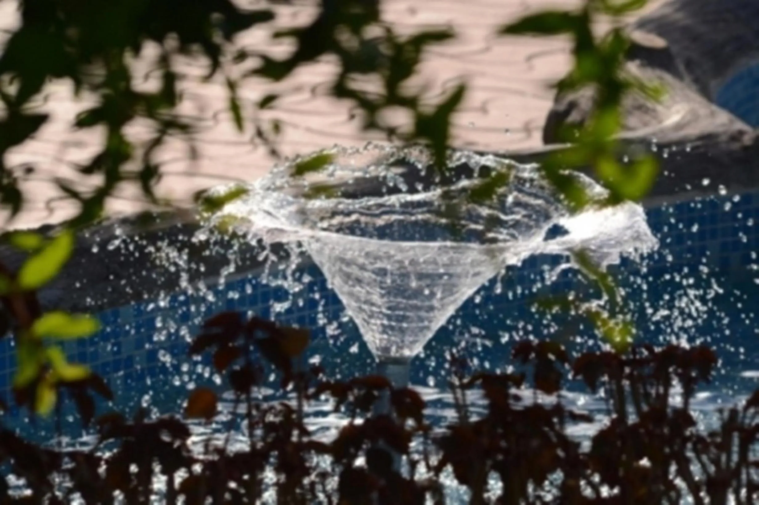 Decorative detail in Araliayas Resort & Spa