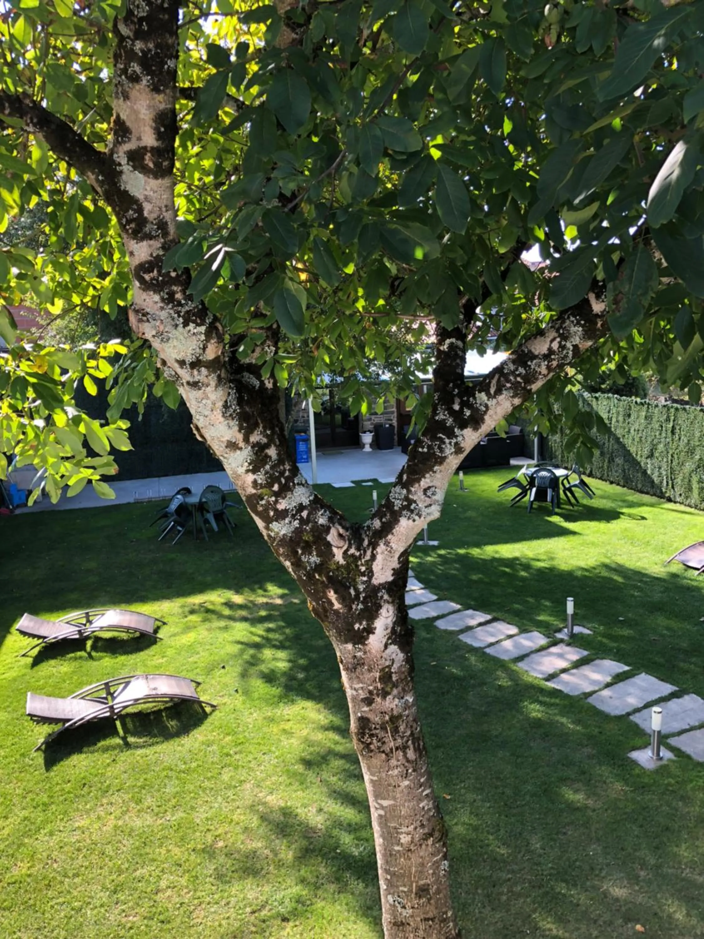 Garden in Albergue San Anton