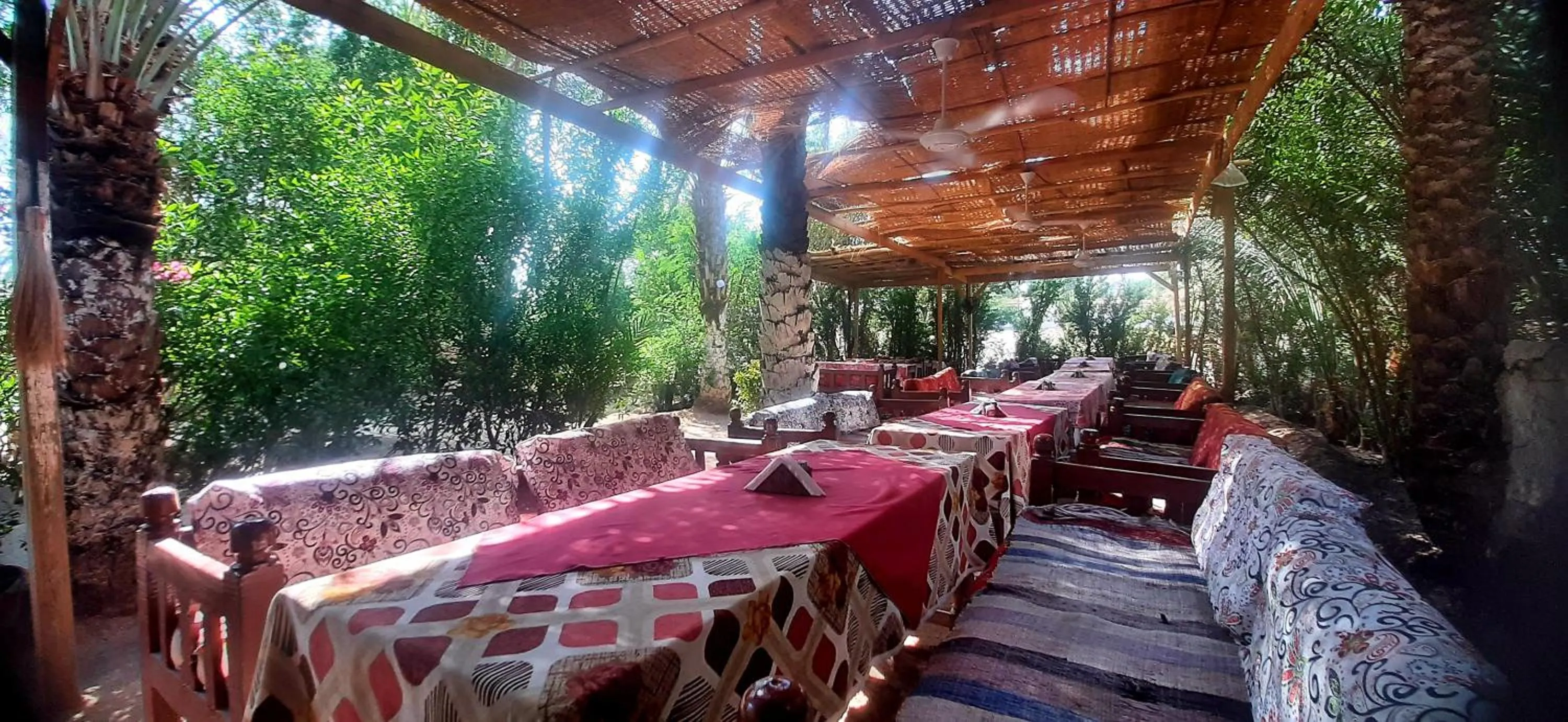 Restaurant/places to eat in Nour El Gourna