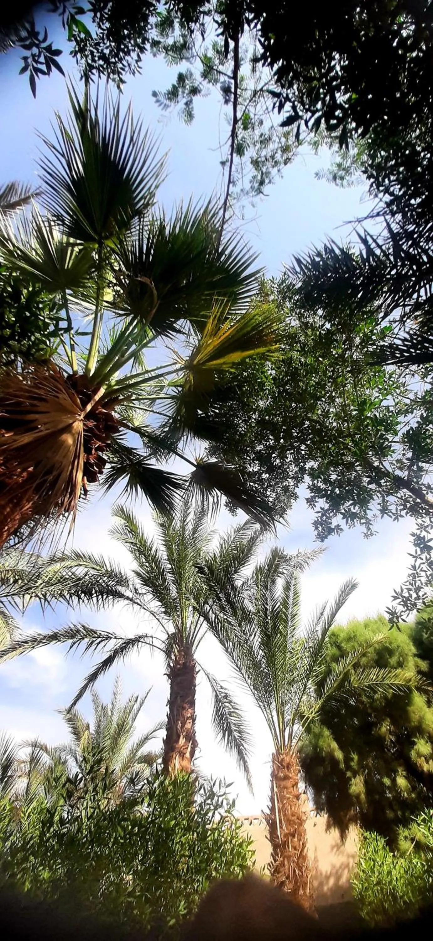 Restaurant/places to eat in Nour El Gourna