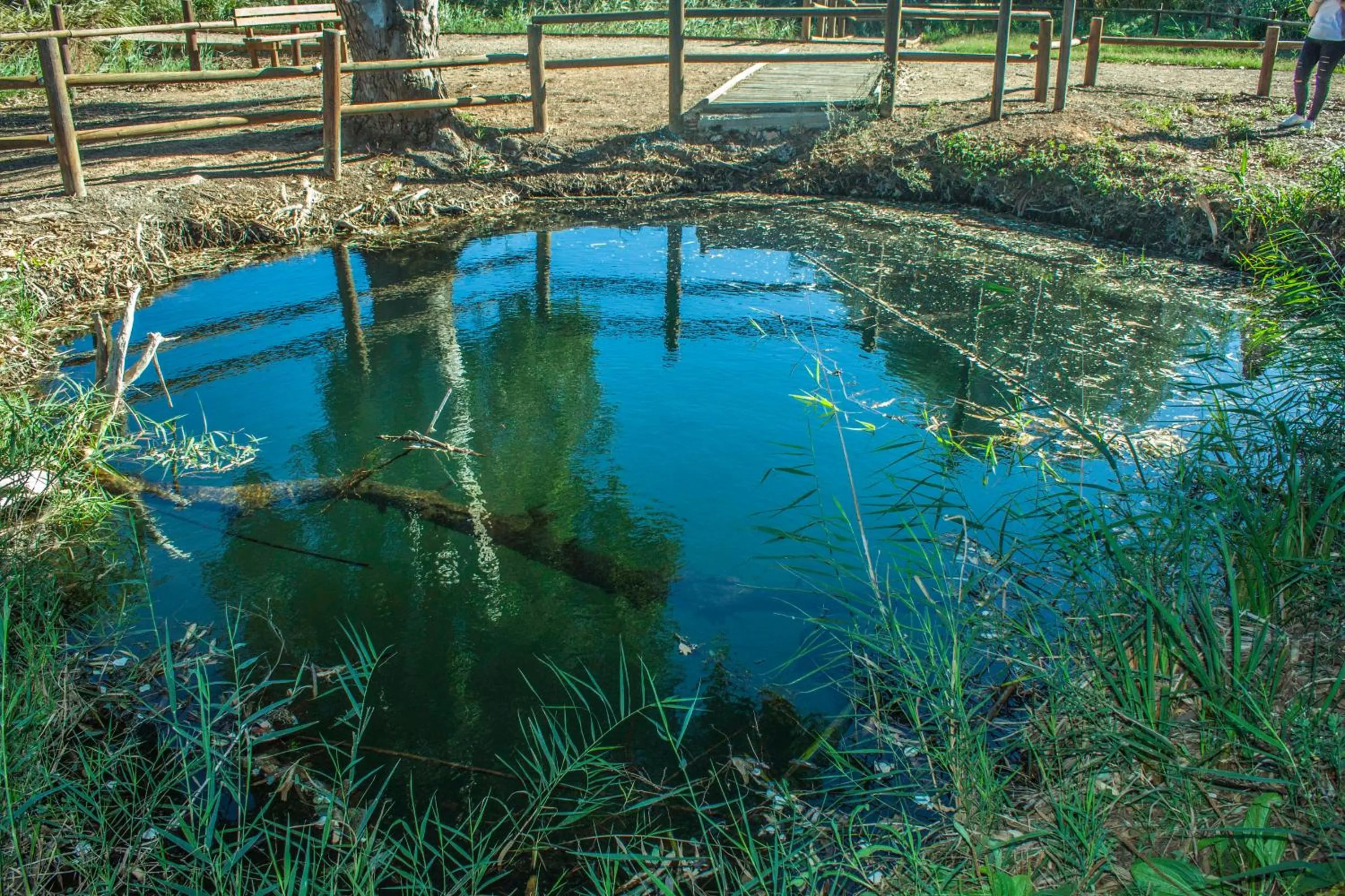 Natural landscape in Paradise Ebro 2