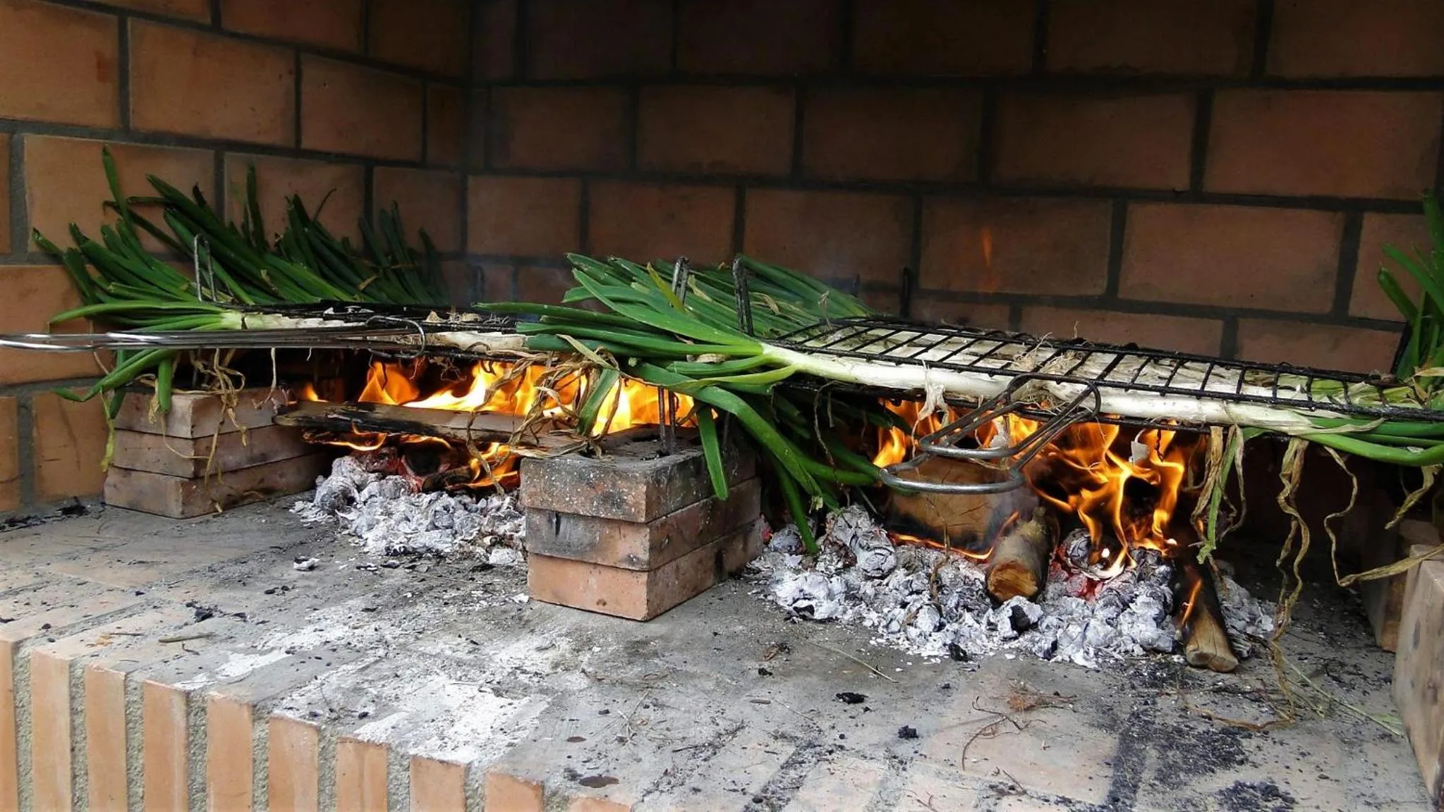 BBQ facilities in Paradise Ebro 2