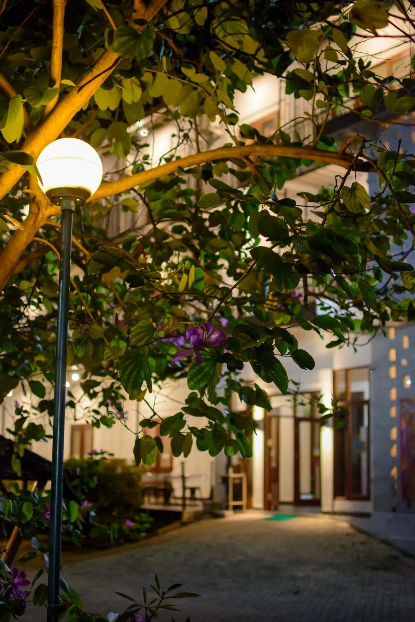 Property building in Wisma Amandari