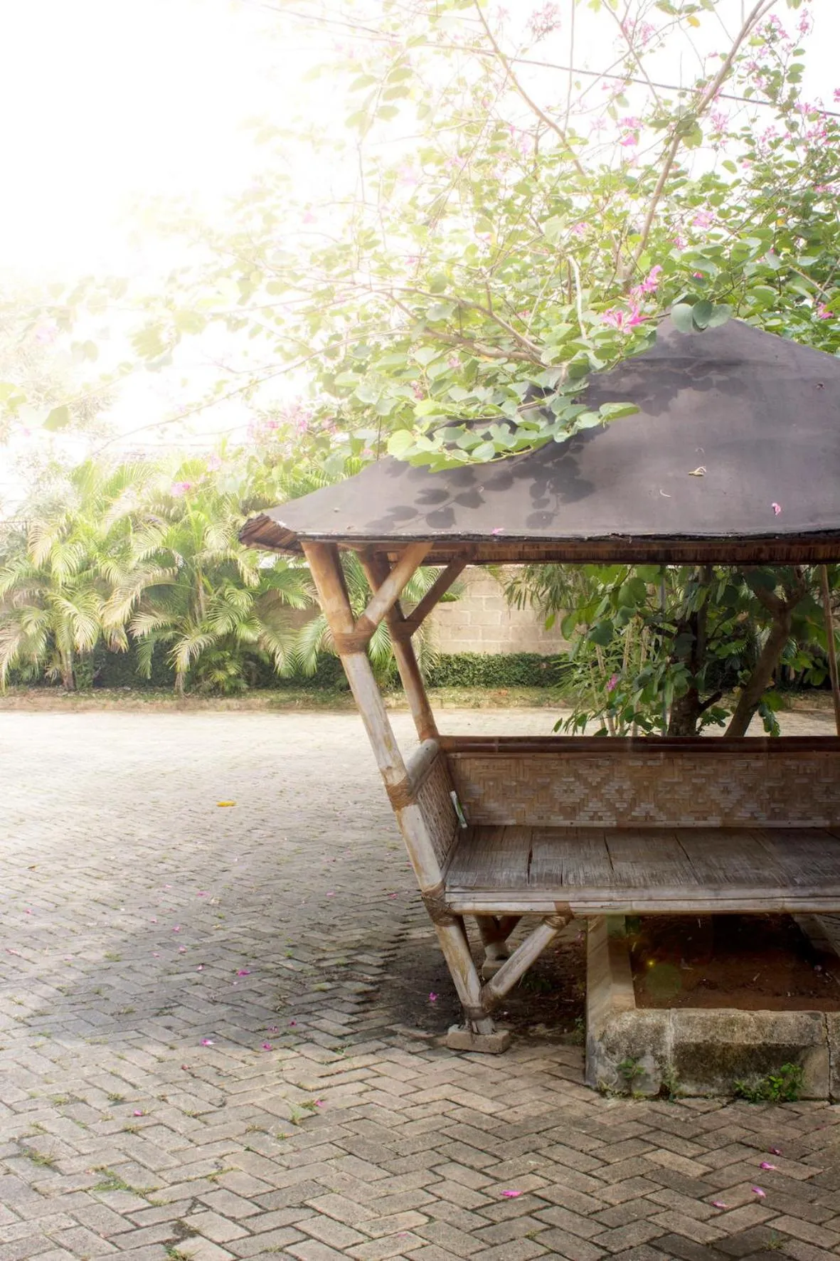 Patio in Wisma Amandari