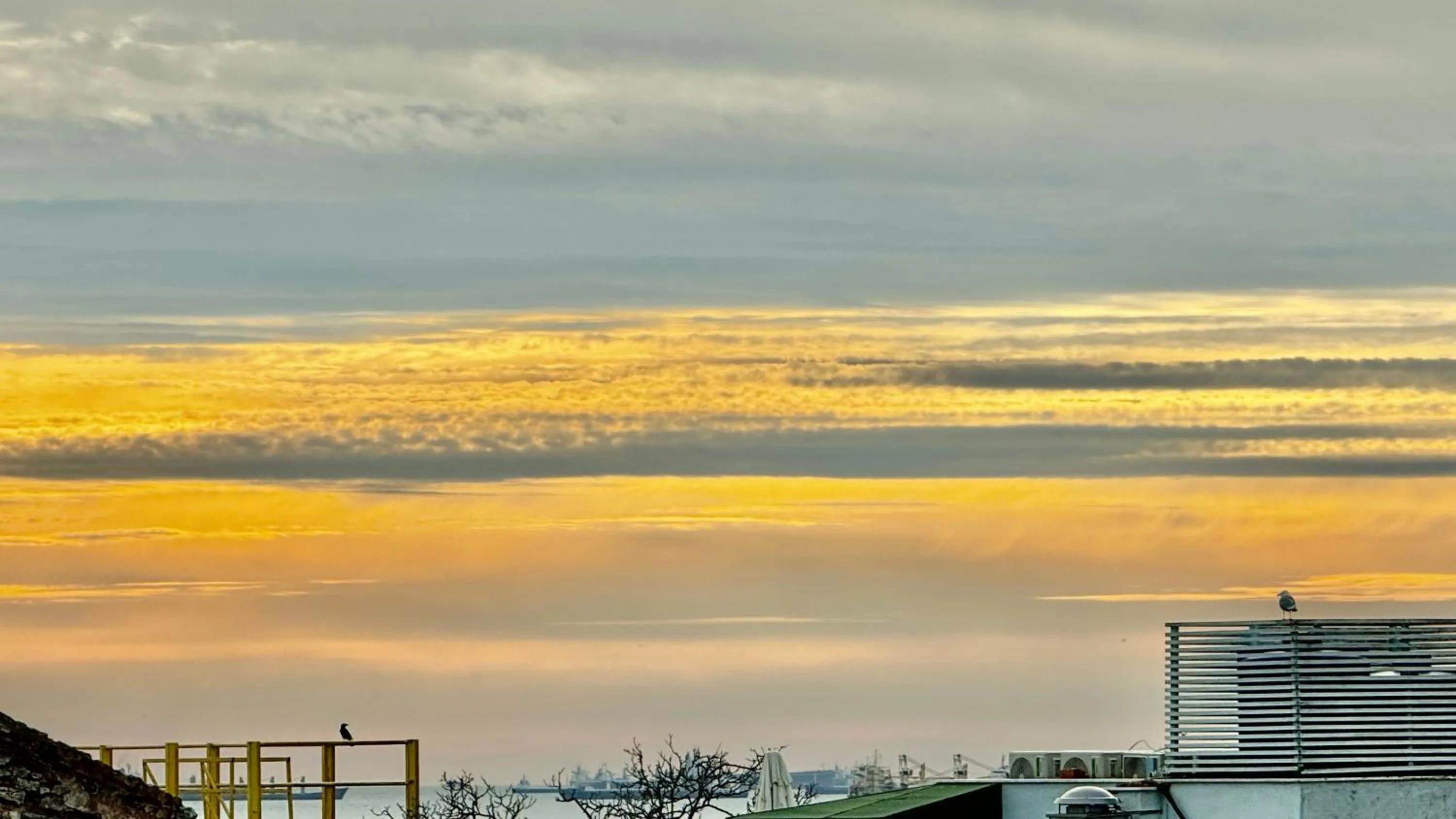 Natural landscape in Seven Studıos Sultanahmet