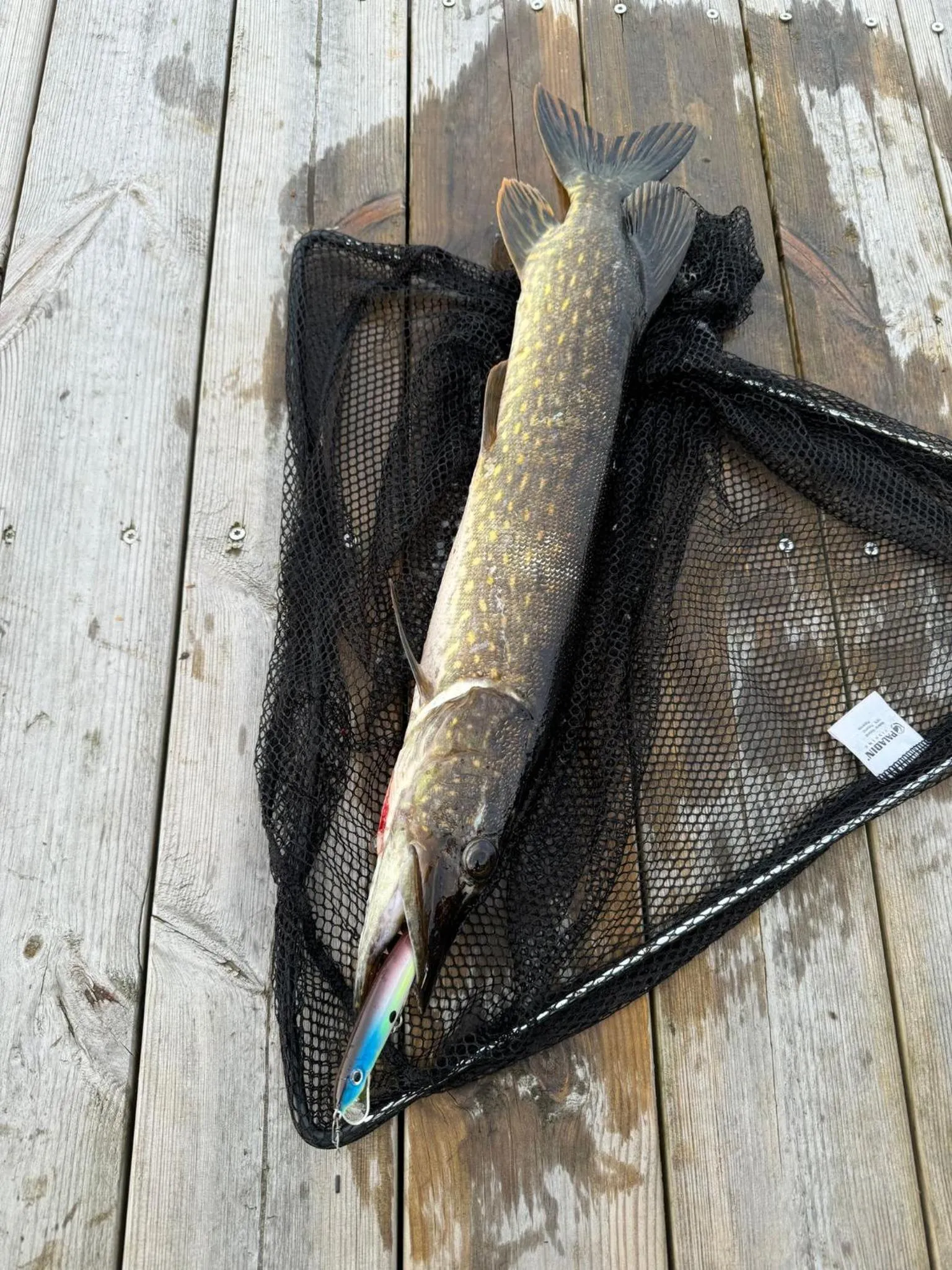 Fishing in Möckelsnäs Herrgård