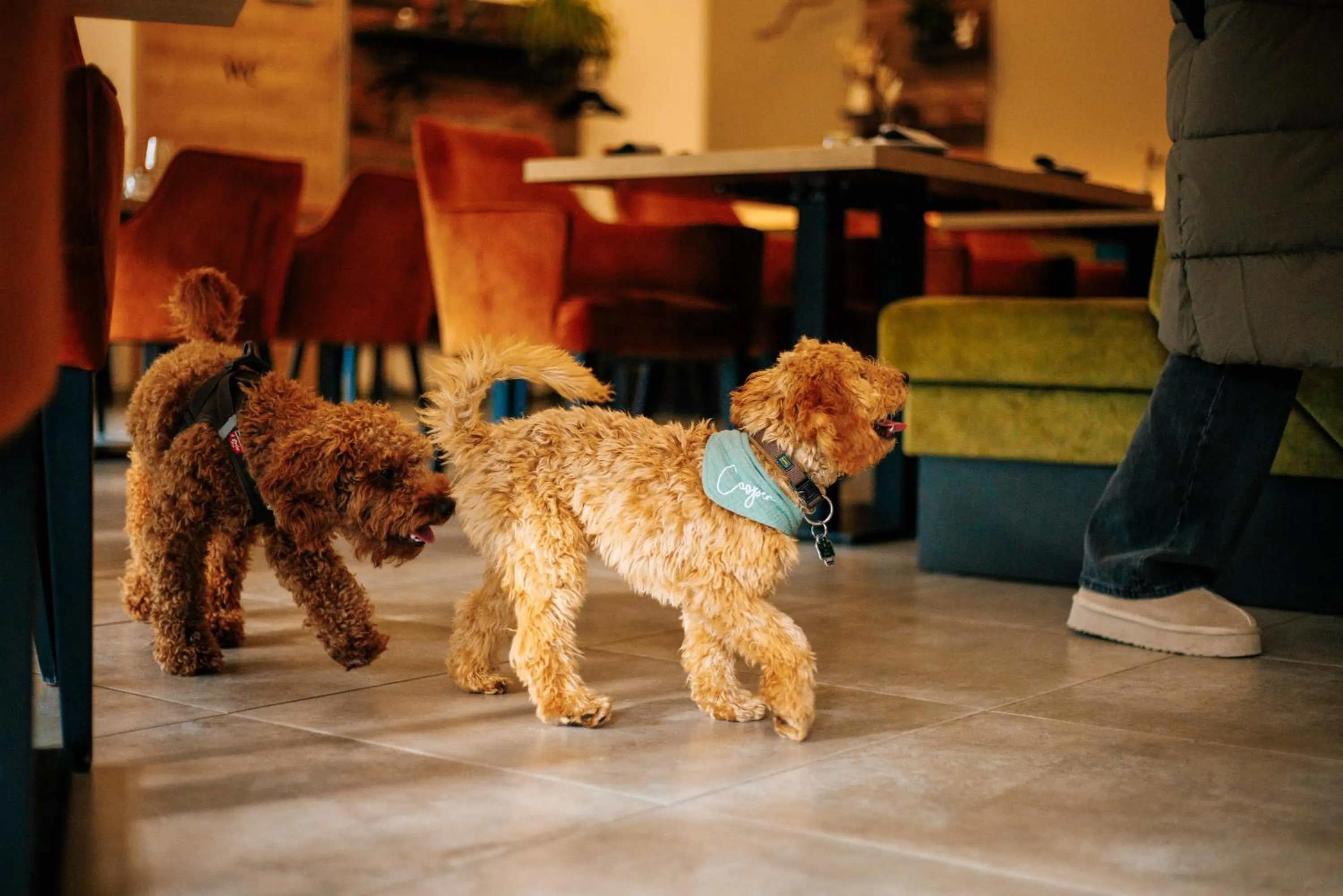 Animals in Schlosshotel Brilon-Wald