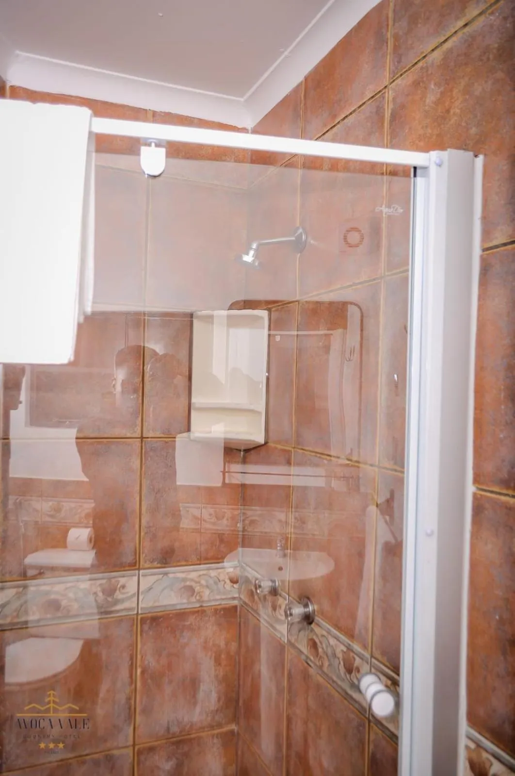 Shower in Avoca Vale Country Hotel