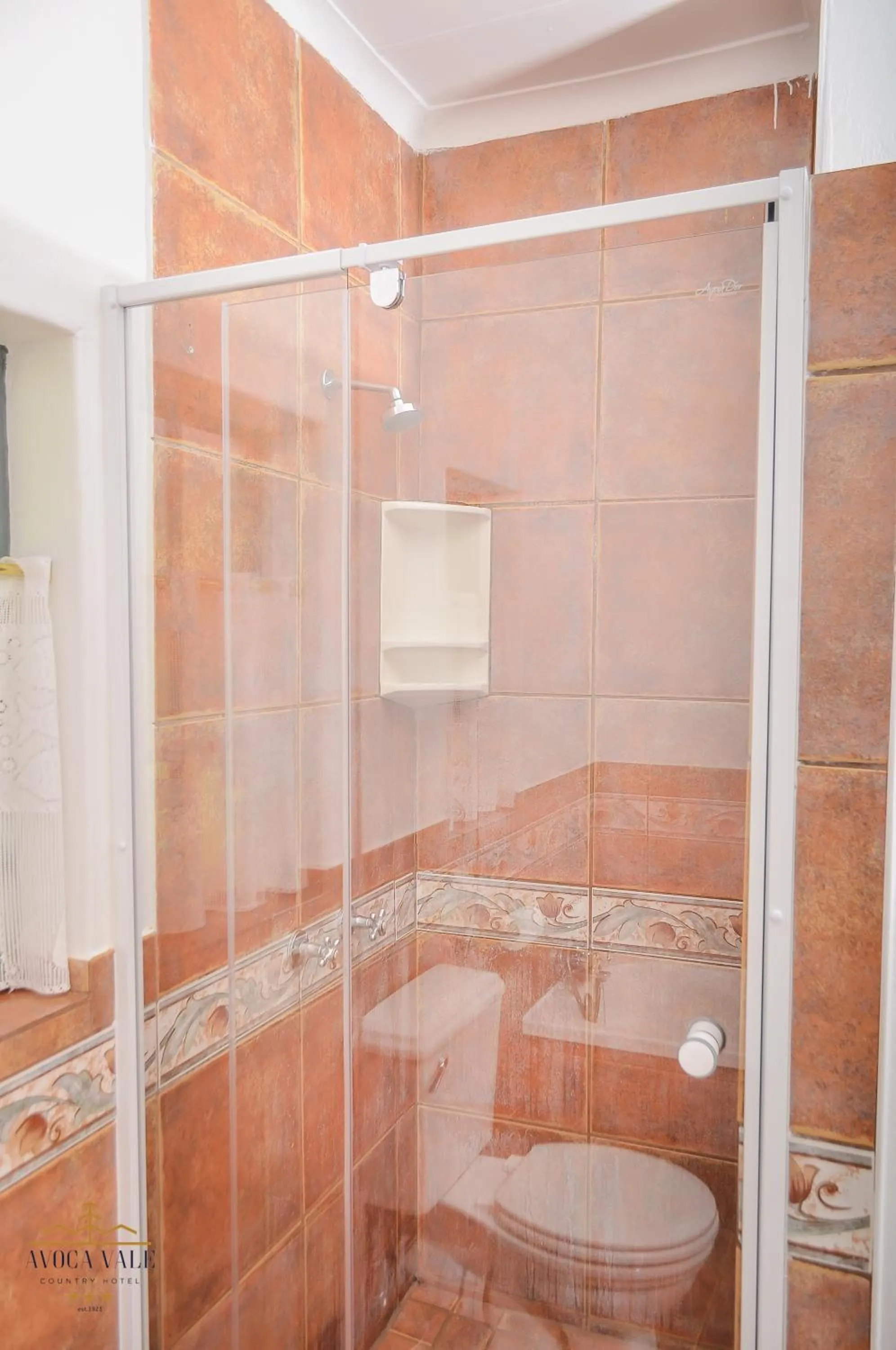 Shower in Avoca Vale Country Hotel