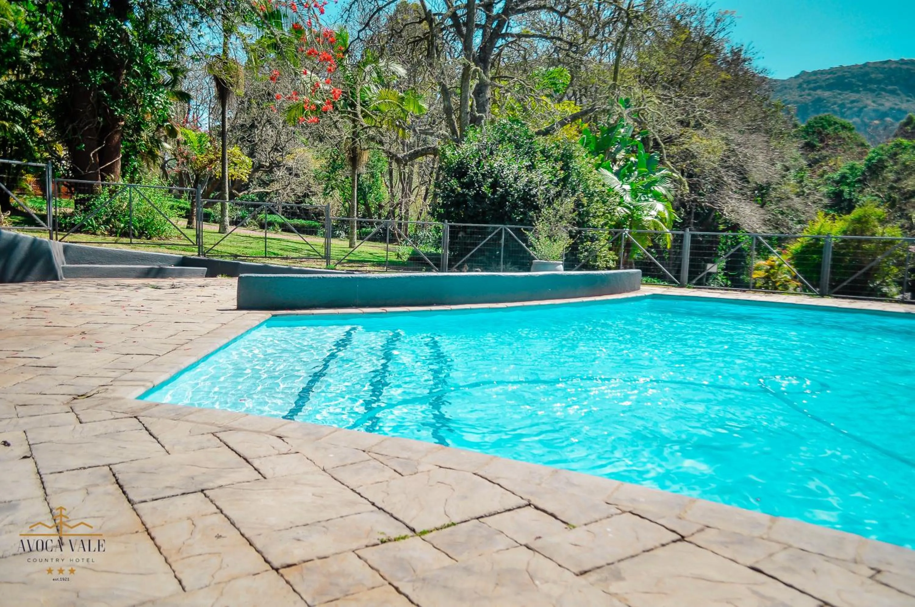 Garden view in Avoca Vale Country Hotel