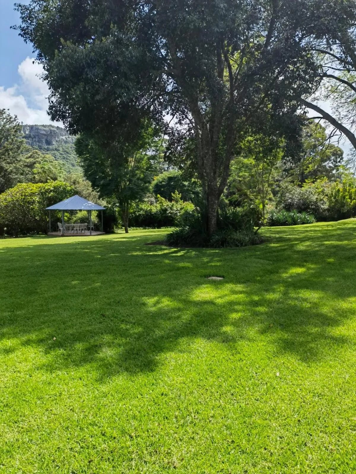 Garden in Avoca Vale Country Hotel