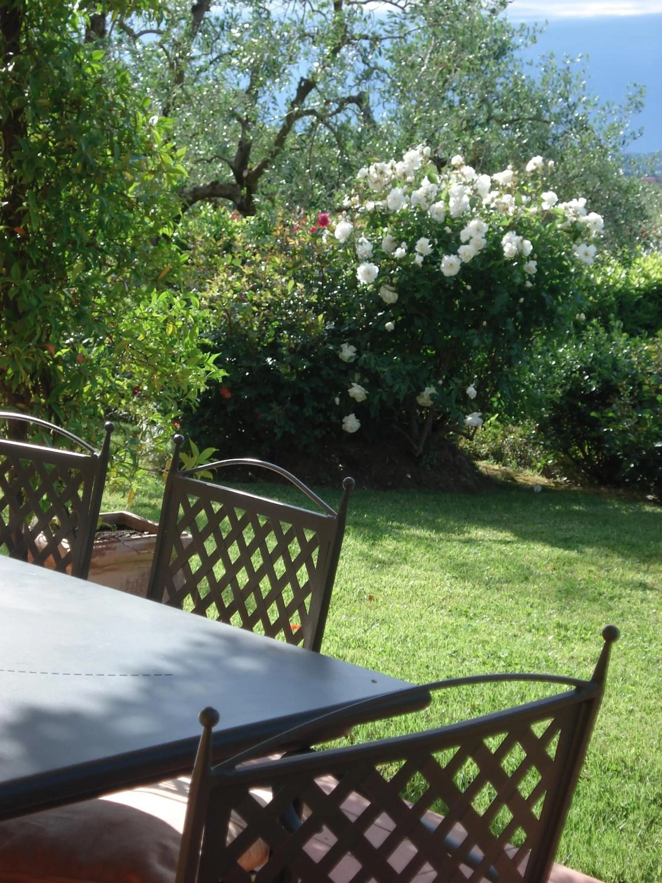 Balcony/Terrace in Villa Antica Sosta Renai