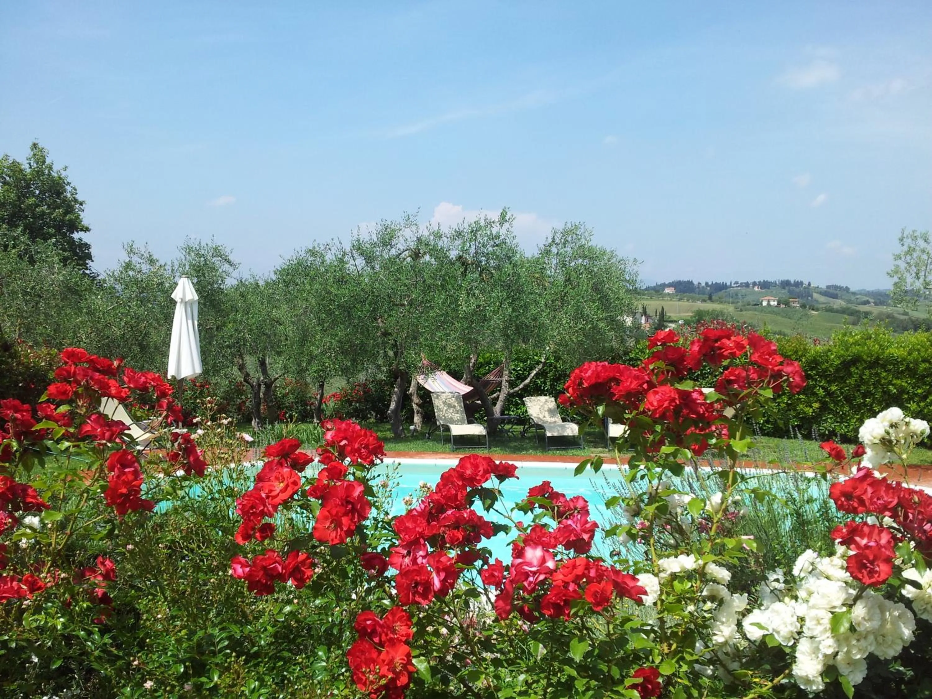 View (from property/room) in Villa Antica Sosta Renai
