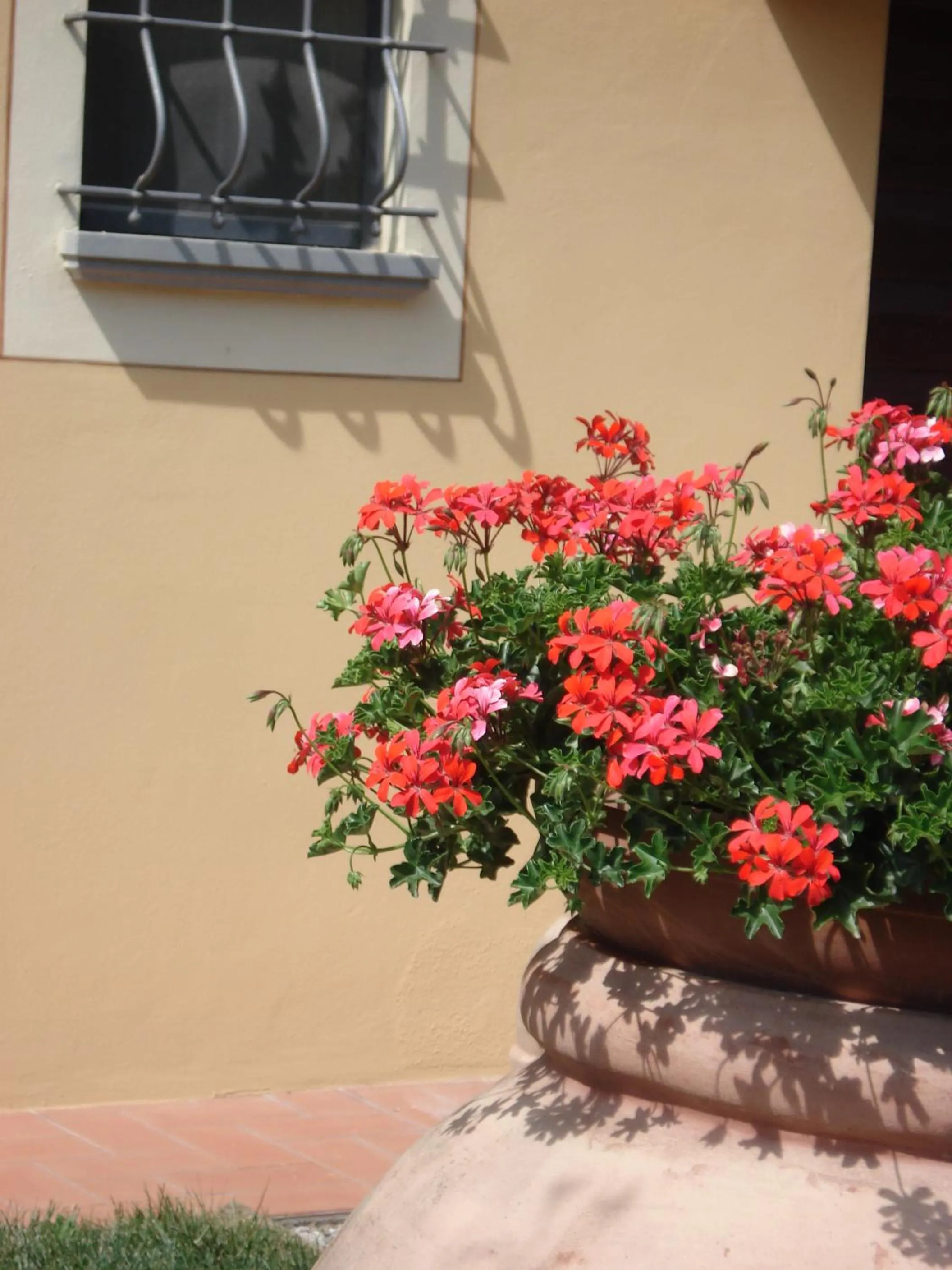 Spring in Villa Antica Sosta Renai