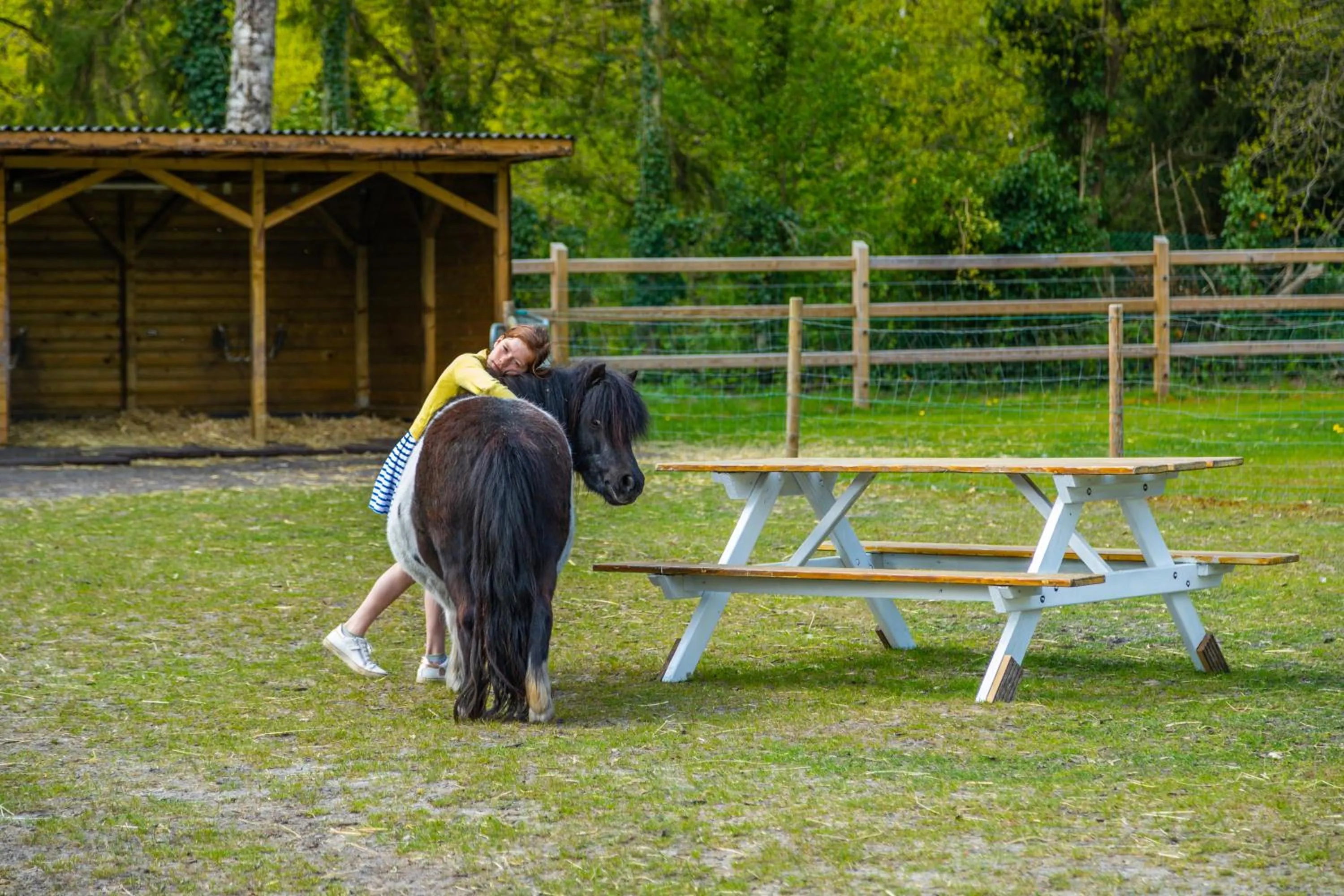 People in EuroParcs Hoge Kempen