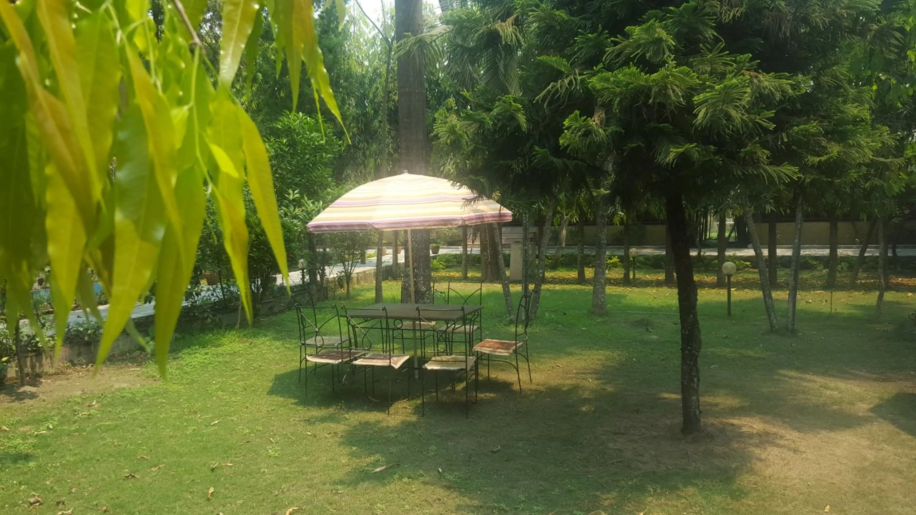 Garden in Jungle Safari Resort